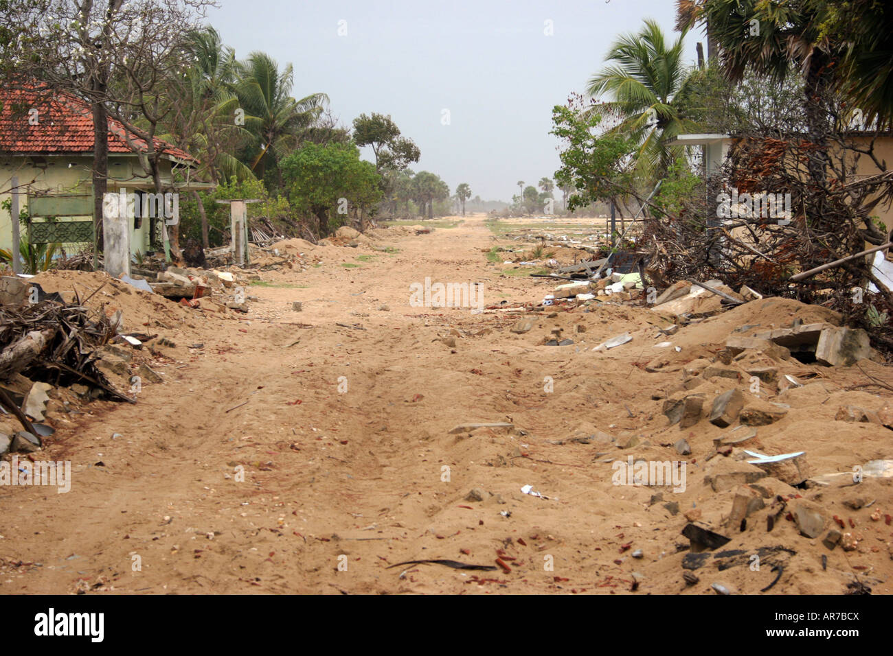 Eine Straße durch ein Dorf auf der Halbinsel Jaffna, das im Jahr 2004 durch den Tsunami zerstört wird. Stockfoto