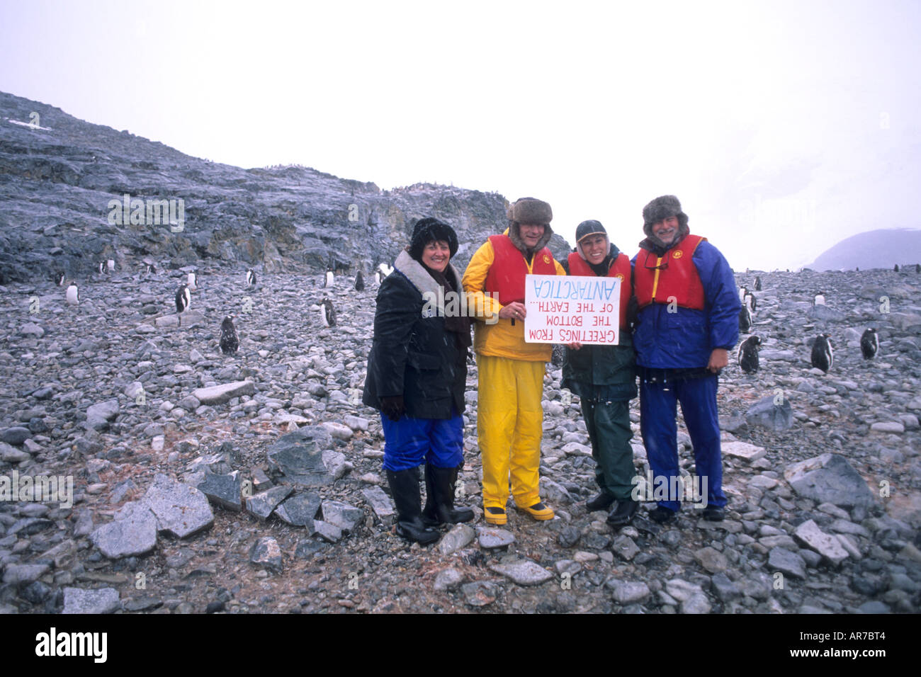 Paare, die Spaß willkommen anmelden unter Gentoo Penguins antarktische Halbinsel Tierwelt Vögel Stockfoto