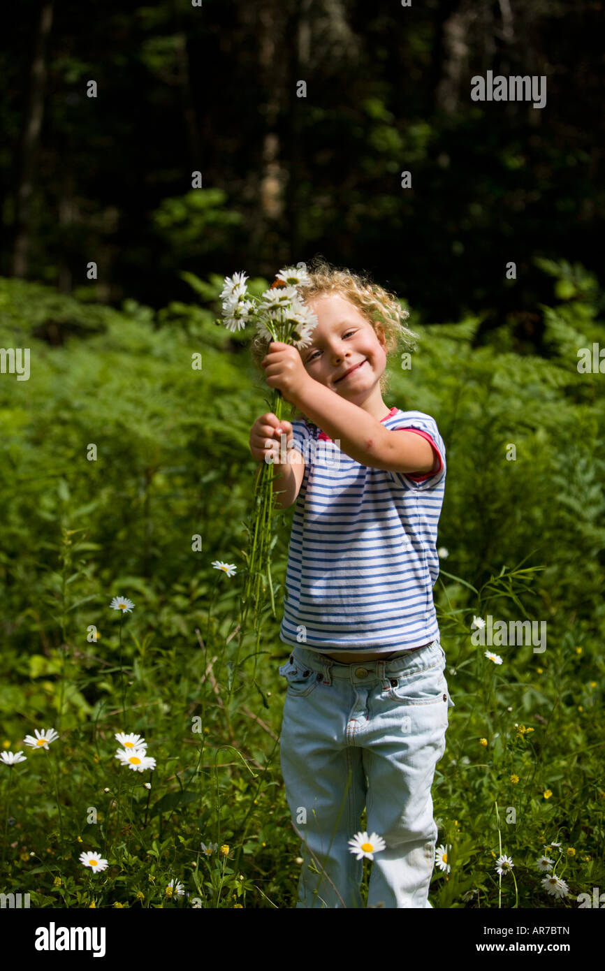 Ein junges Mädchen (4 Jahre) nimmt Daisy in Turner, Maine. Stockfoto