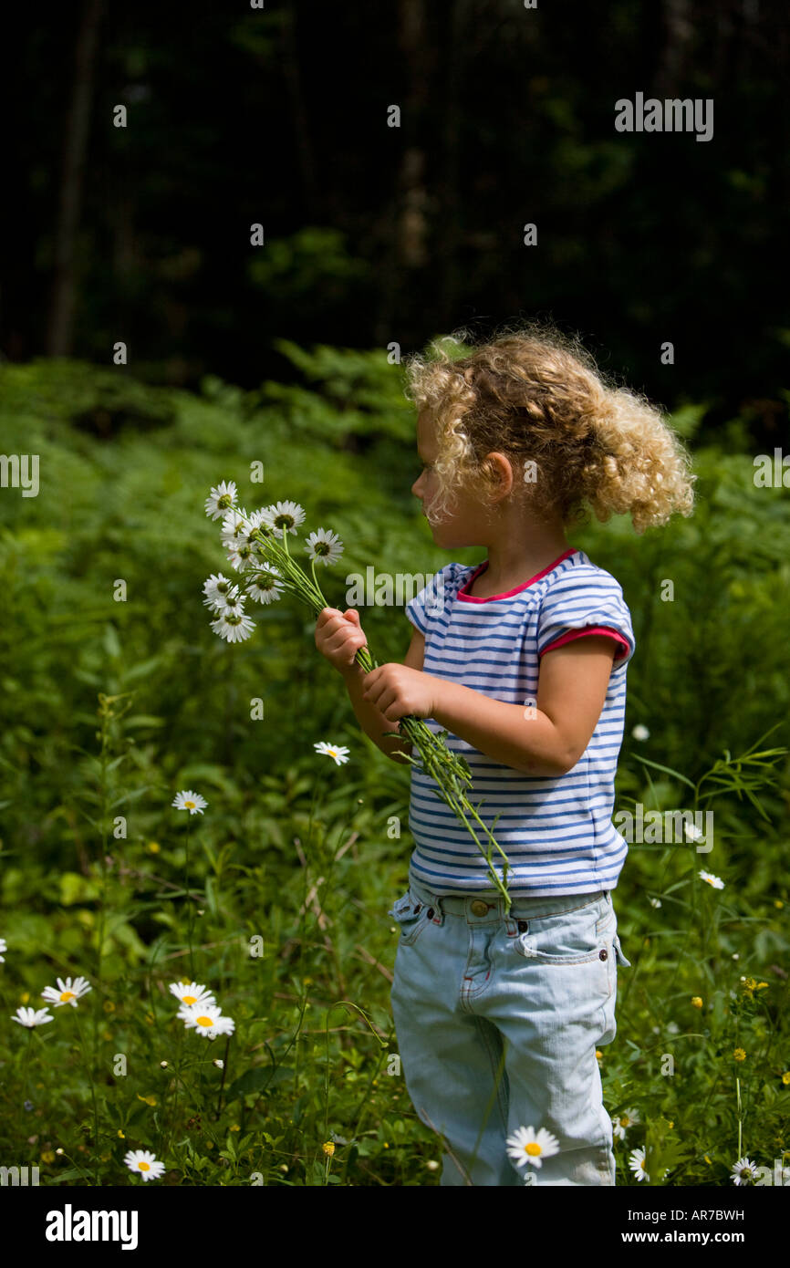 Ein junges Mädchen (4 Jahre) nimmt Daisy in Turner, Maine. Stockfoto