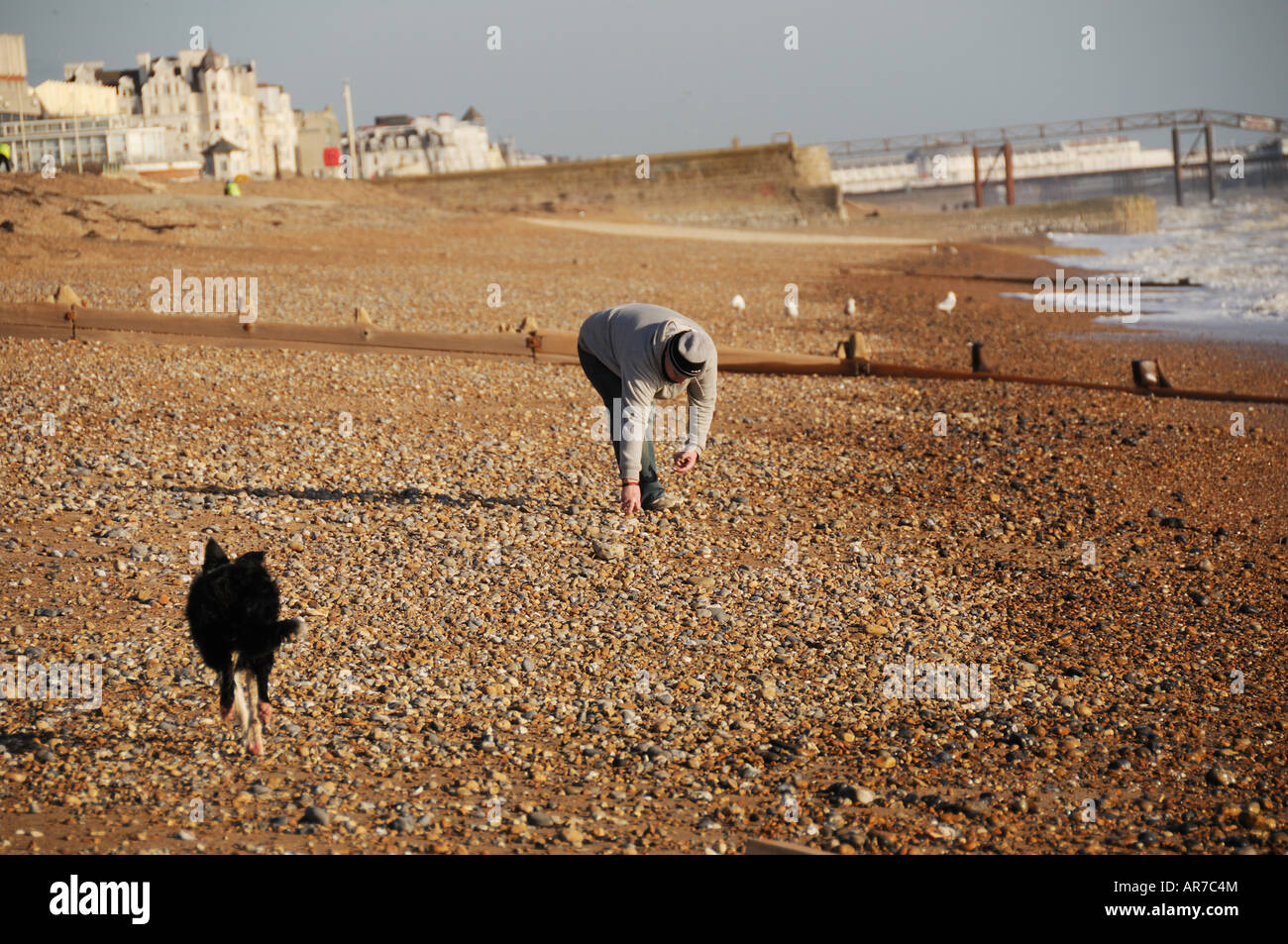 Mann mit einem Hund am Strand, Brighton und Hove, East Sussex, Freizeit Stockfoto