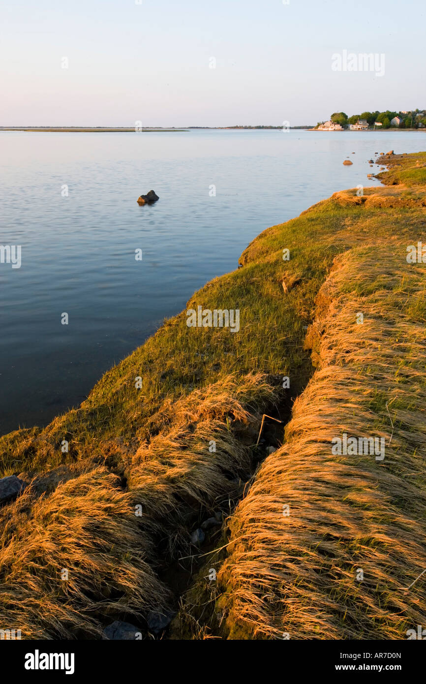 Salzwiesen im Frühjahr. Strawberry Hill Preserve in Ipswich, Massachusetts. Eagle Hill River. Stockfoto