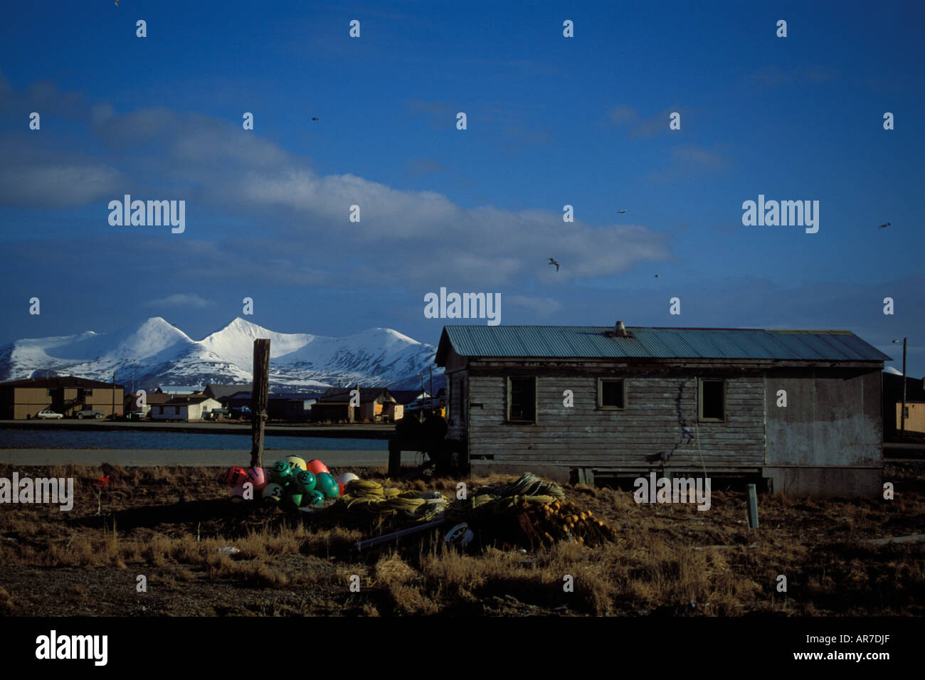Aleut Dorf in Alaska King Cove auf der Alaska-Halbinsel Stockfoto