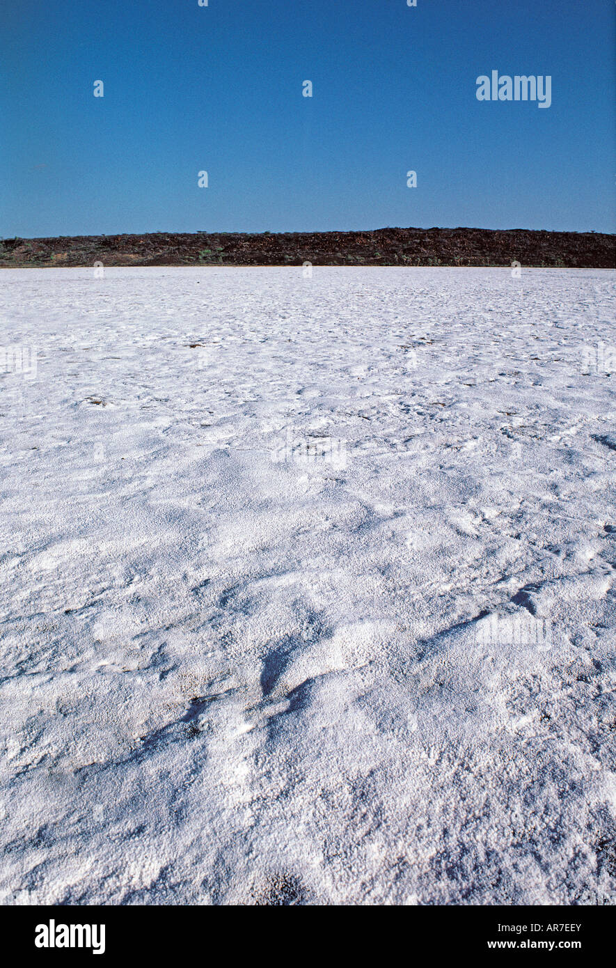 Riesige Vorkommen an reinen weißen kristallinen Kochsalz oder Natriumchlorid am Rande der Chalbi Wüste im nördlichen Kenia Afrika Stockfoto