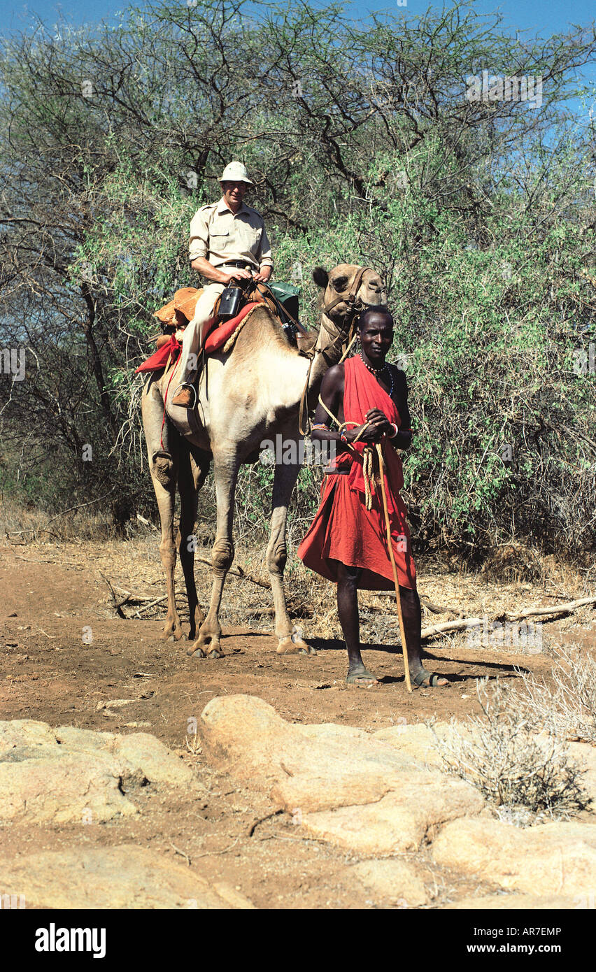 David Keith Jones ein Kamel mit einem Samburu reitet führen auf einem Kamel trekking Safari im nördlichen Kenia in Ostafrika Stockfoto