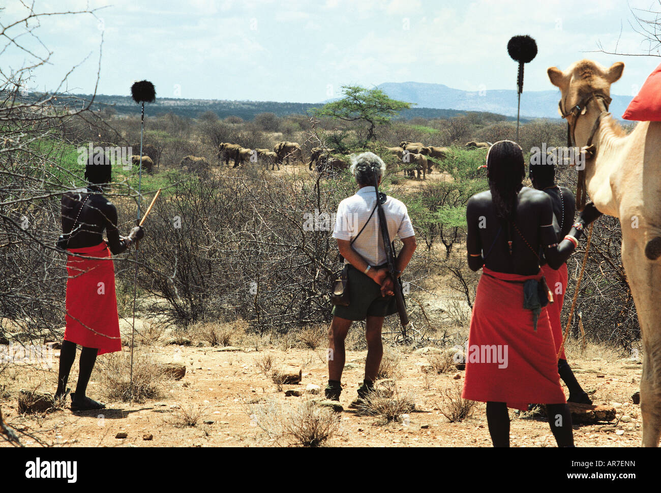 Weiße Touristen und traditionellen Samburu Krieger betrachten Elefanten in Kenia in Ostafrika Stockfoto
