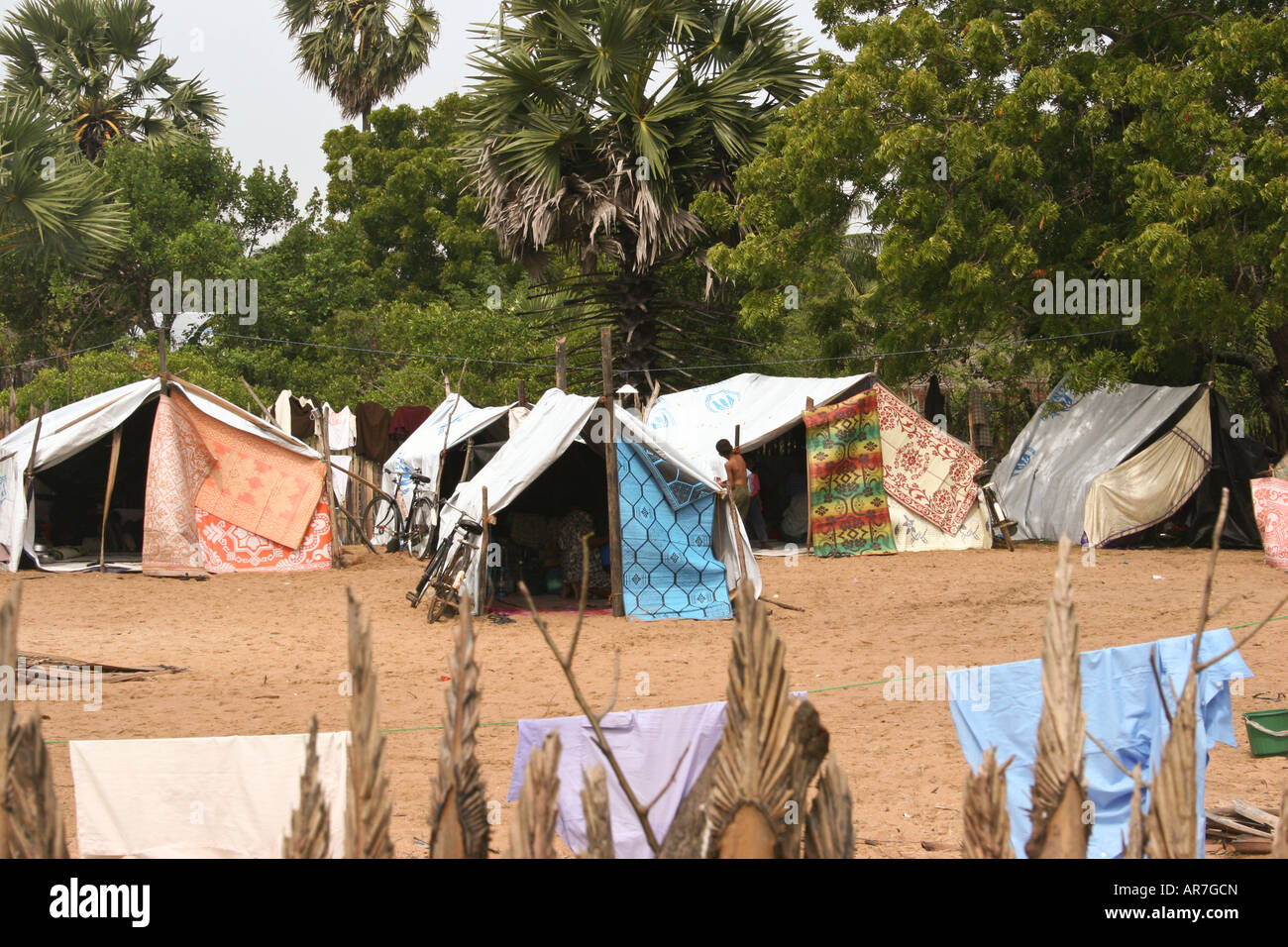 Flüchtlingslager in LTTE kontrollierten Gebiete auf der Halbinsel Jaffna Stockfoto