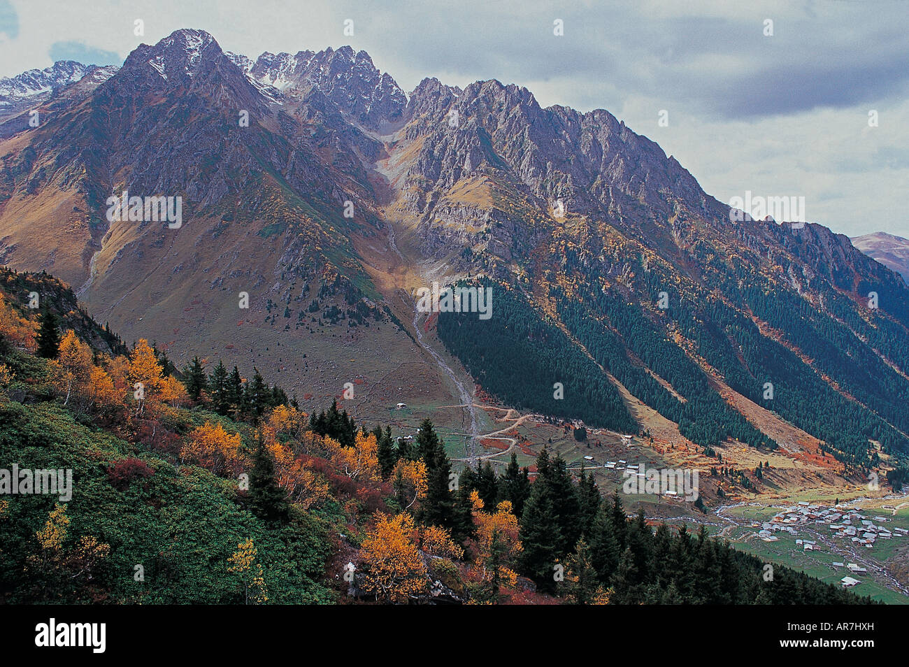 Farben des Herbstes im Tal der westlichen Schwarzen Meer Berge, Türkei. Stockfoto