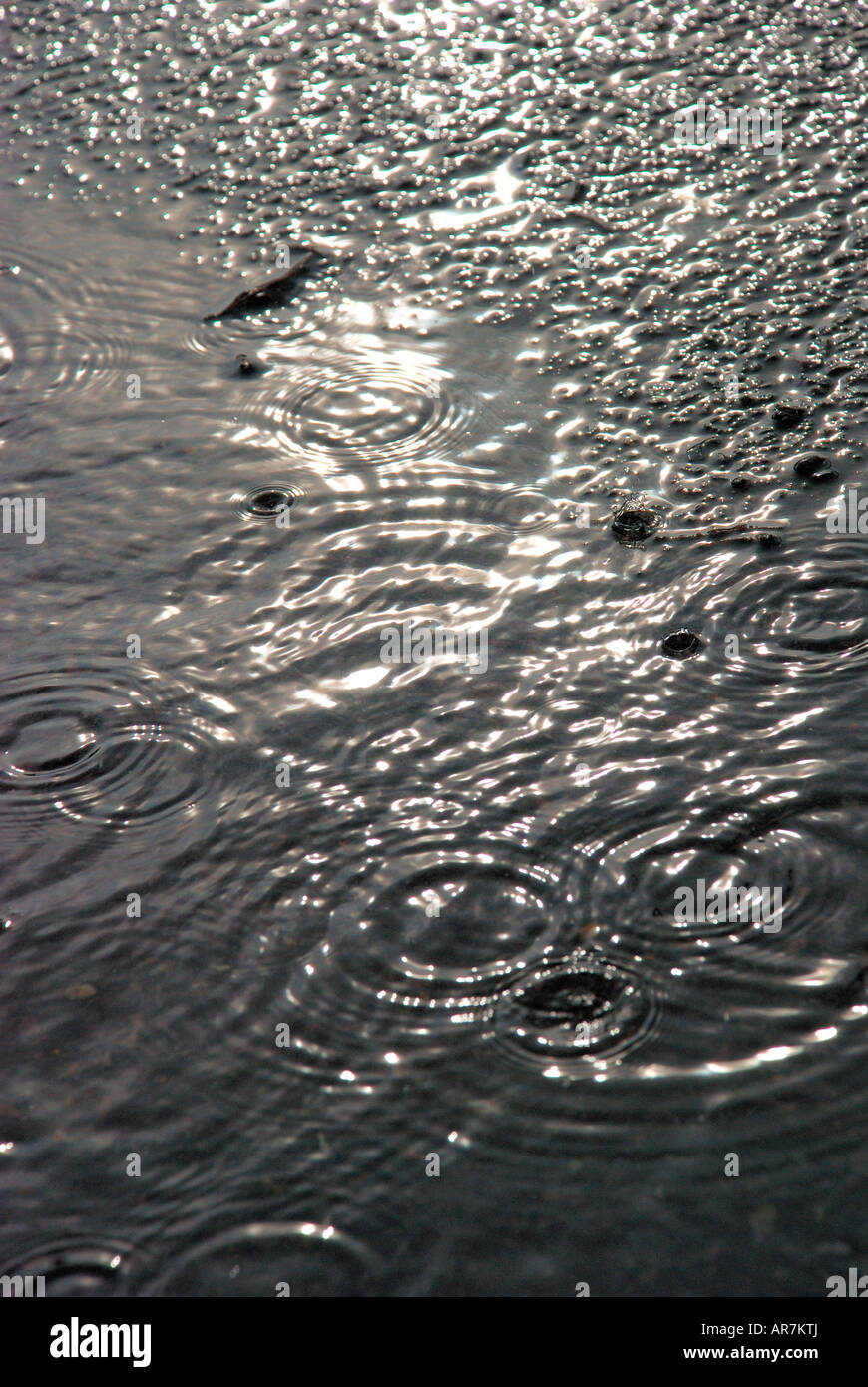 Wellen von Regen auf Pfütze auf schwarzen Asphaltstraße. Stockfoto