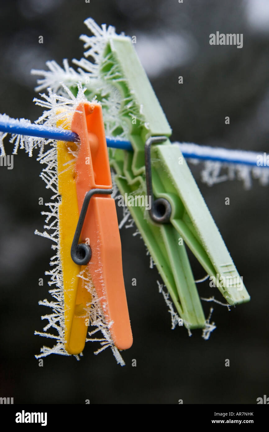 Komplizierte gefiederten Kristalle von Raureif vermitteln Schönheit auf alltägliche Objekte in der französischen Landschaft. Stockfoto