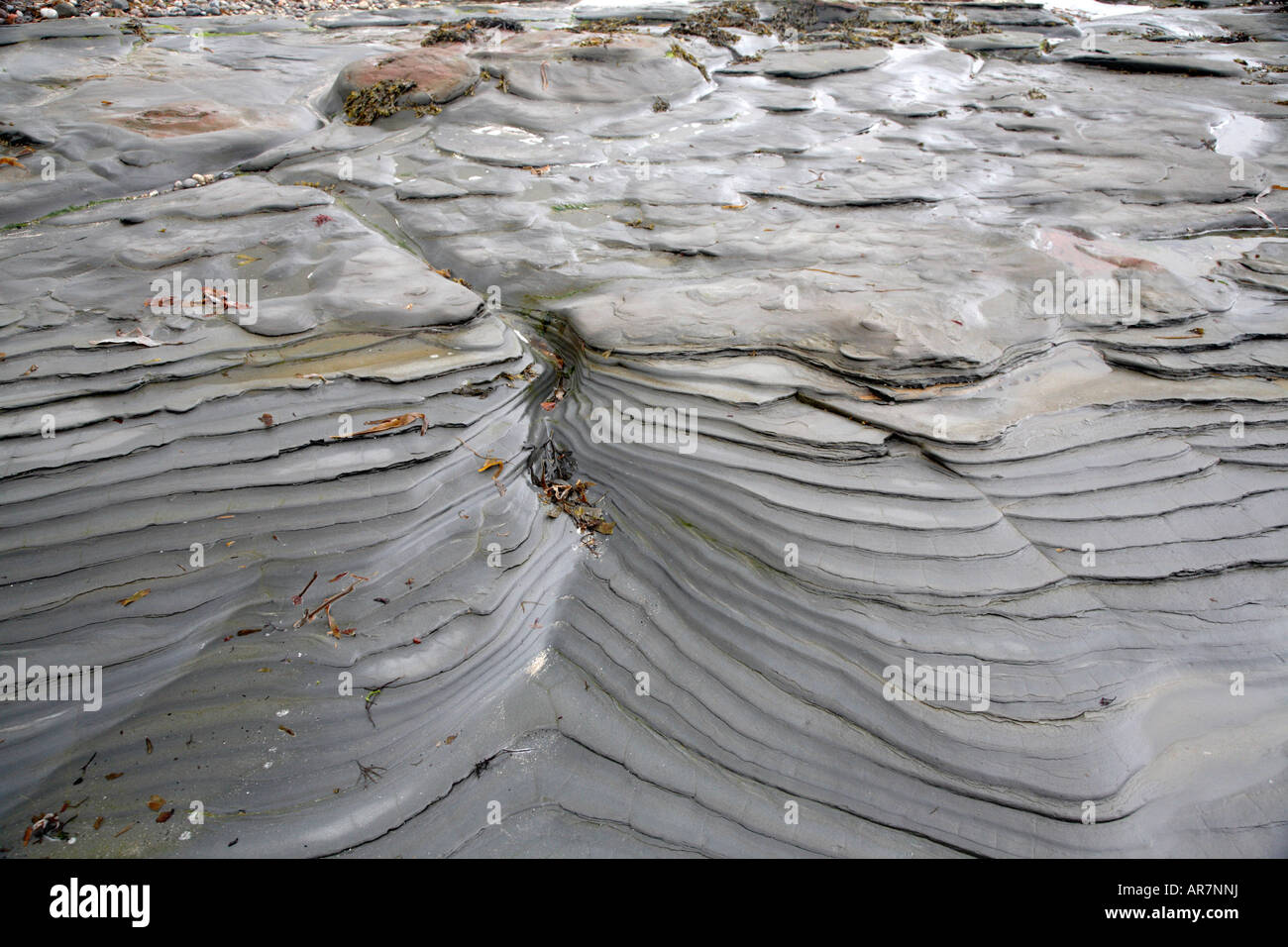 Geologische Besonderheiten der North Northumberland Küste Stockfoto