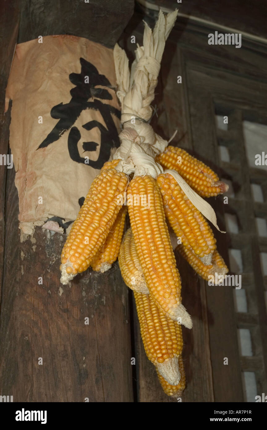 Frühling Getreide hängen in der Dachrinne eines Bauernhauses in einem Vorort von Beijing der Volksrepublik China Stockfoto