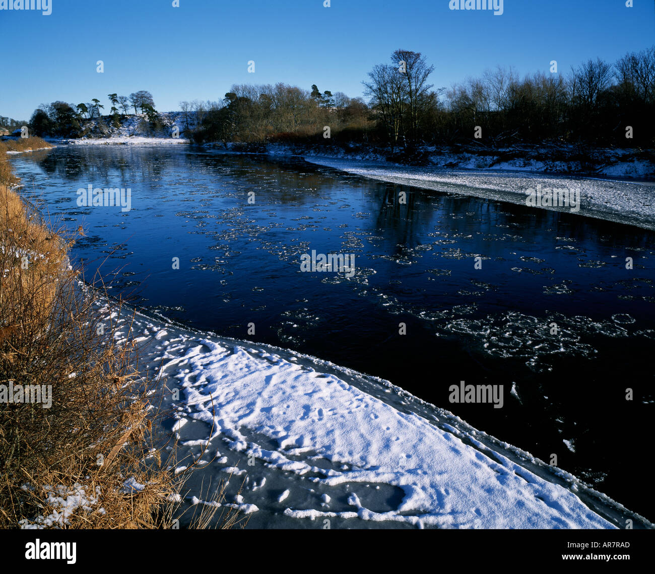 Schnee und Eis auf dem Fluss Tweed Stockfoto