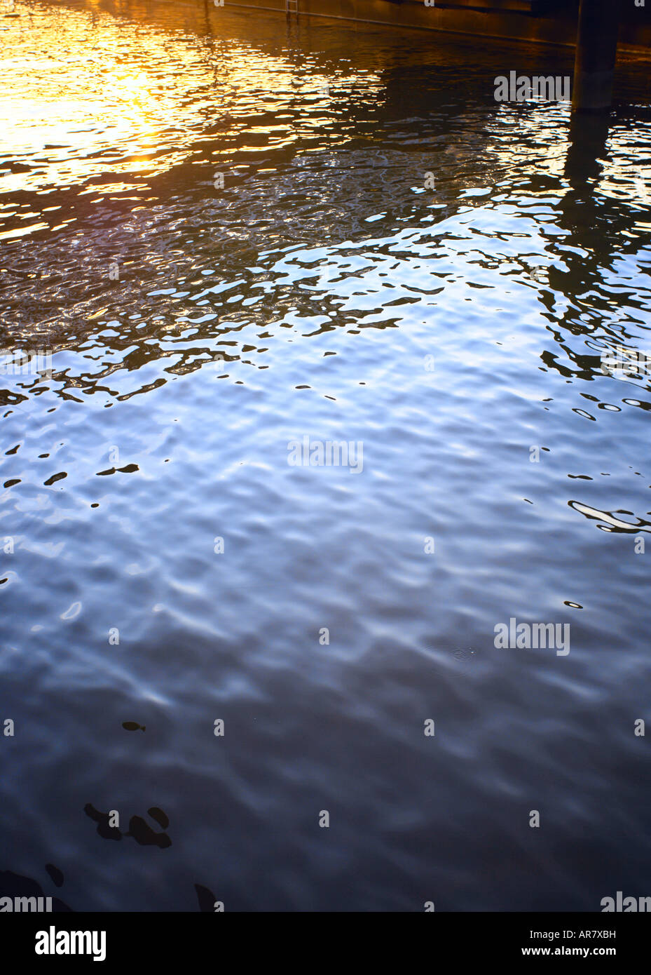 Spiegelungen im Wasser Stockfoto