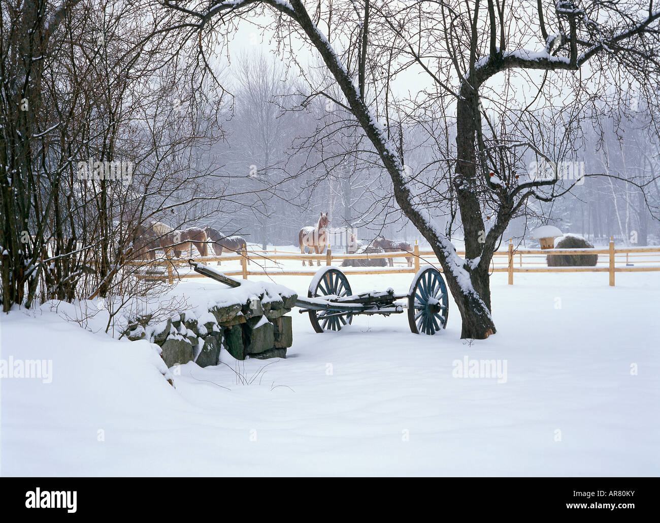 Winter Arbeitspferde in New Hampshire farm Stockfoto