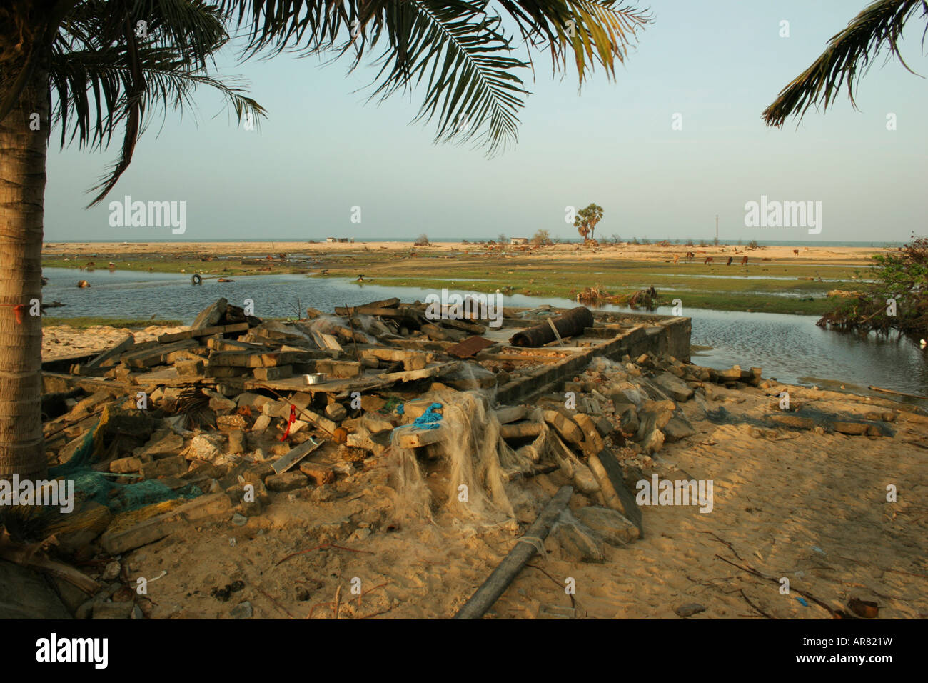 Restlichen Schutt und Fischernetze beschädigt, nach dem Tsunami am Boulders Jaffna, Sri Lanka Stockfoto