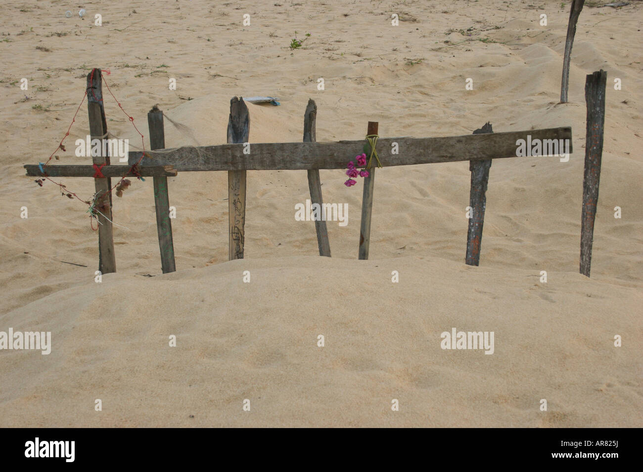 Gräber in den Sanddünen auf Jaffna Halbinsel der Opfer des Tsunami in Sri Lanka. Stockfoto