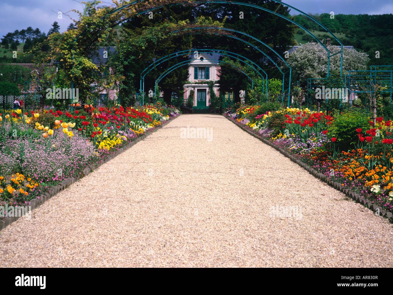 Bunter Frühling Dispay in zentralen Weg in Monets Giverny Stockfoto