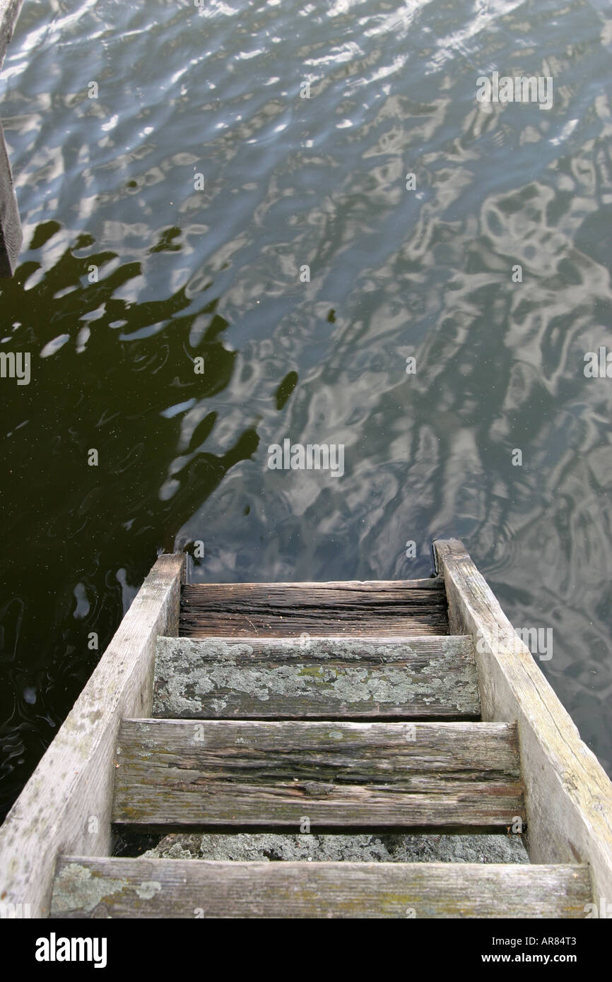 Holztreppe hinunter ins Wasser Stockfoto