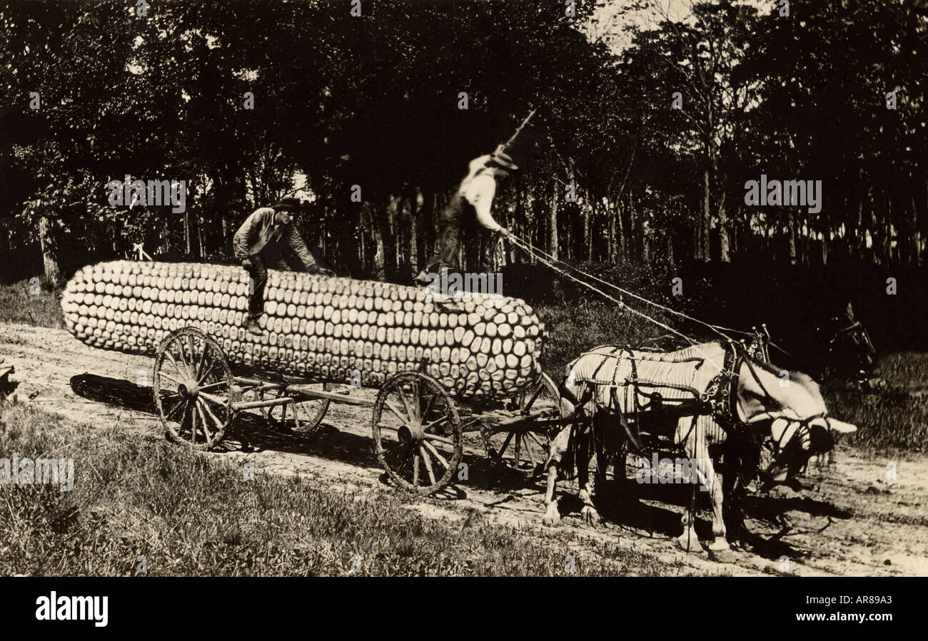 Vintage Bild der Pferde ziehen Big Corn Beförderung Stockfoto