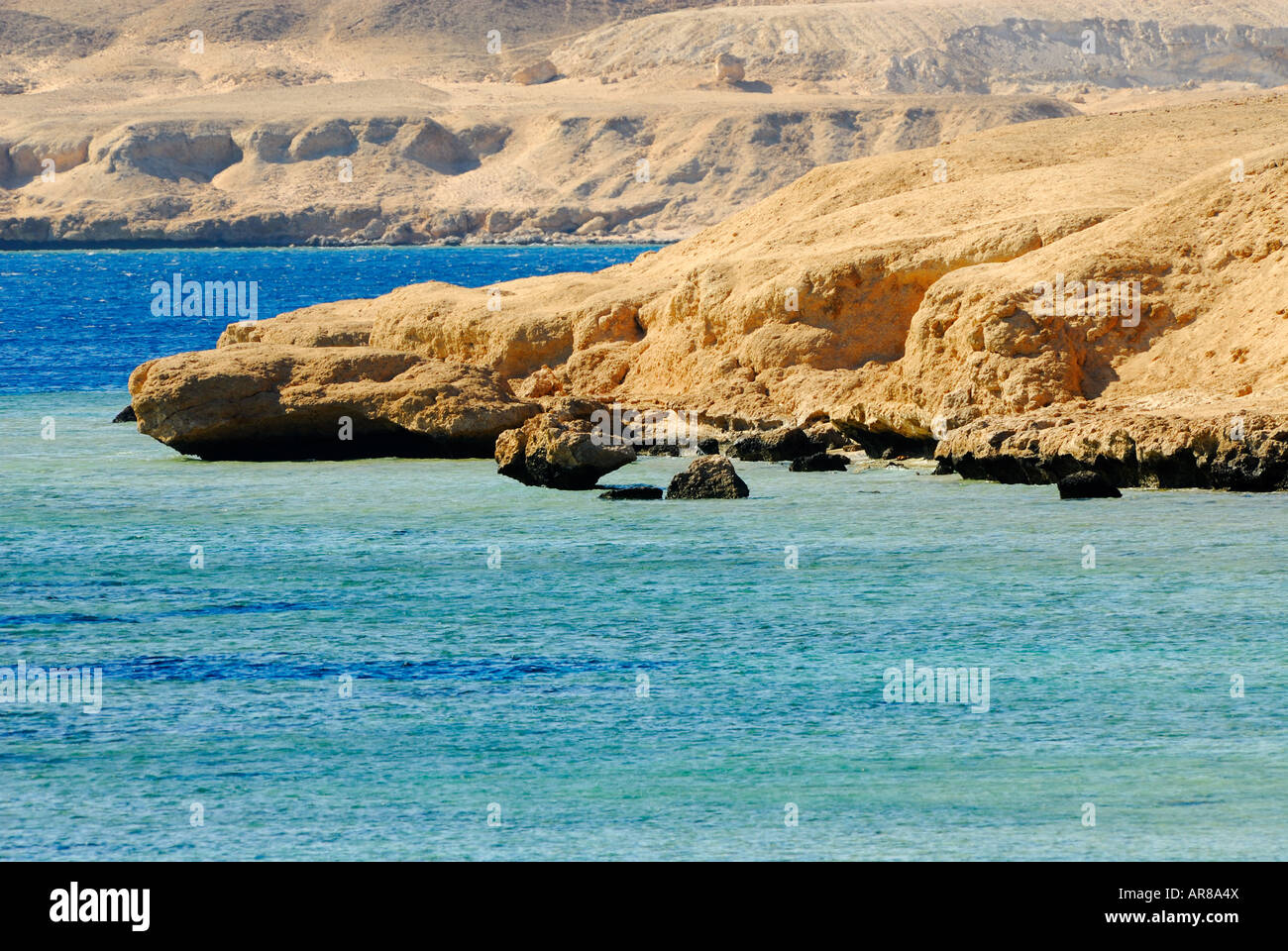 Dessert-Küste von Sharm el sheikh Stockfoto
