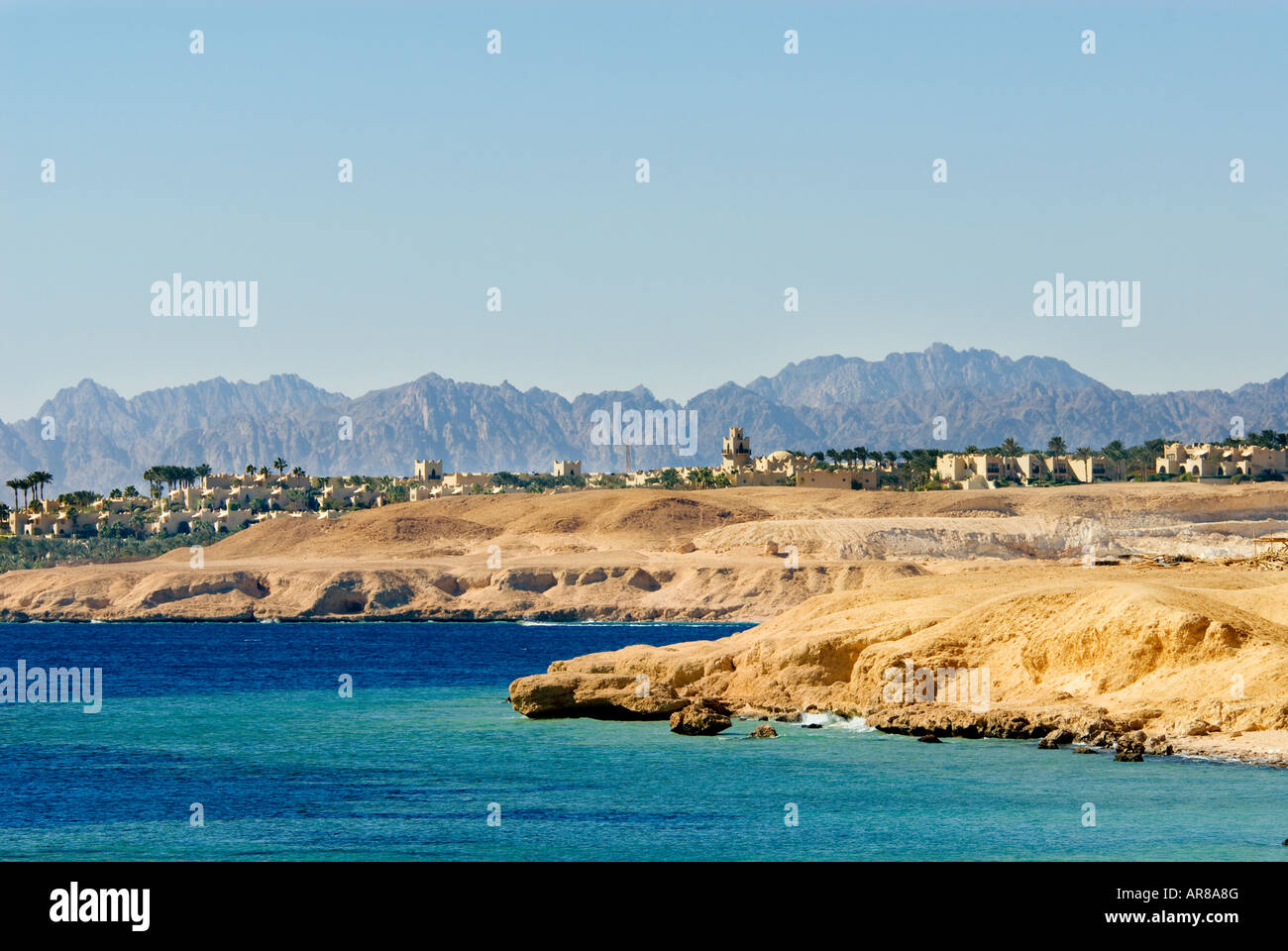 Dessert-Küste von Sharm el Sheikh Ägypten Stockfoto