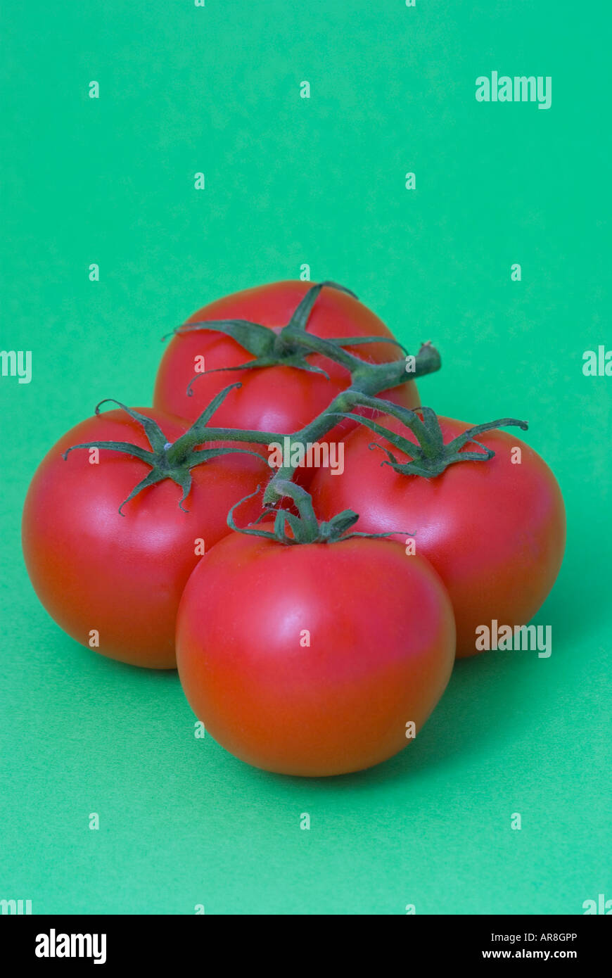 Hydroponisch angebaute, von der Rebe gereifte Truss-Tomaten auf nahtlosem farbigem Hintergrund Stockfoto