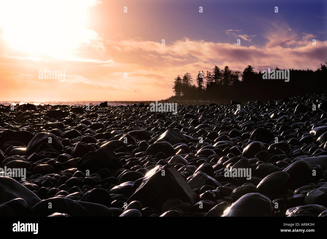 Sonnenaufgang über den Strand in der Nähe von Tlell, Haida Gwaii Stockfoto