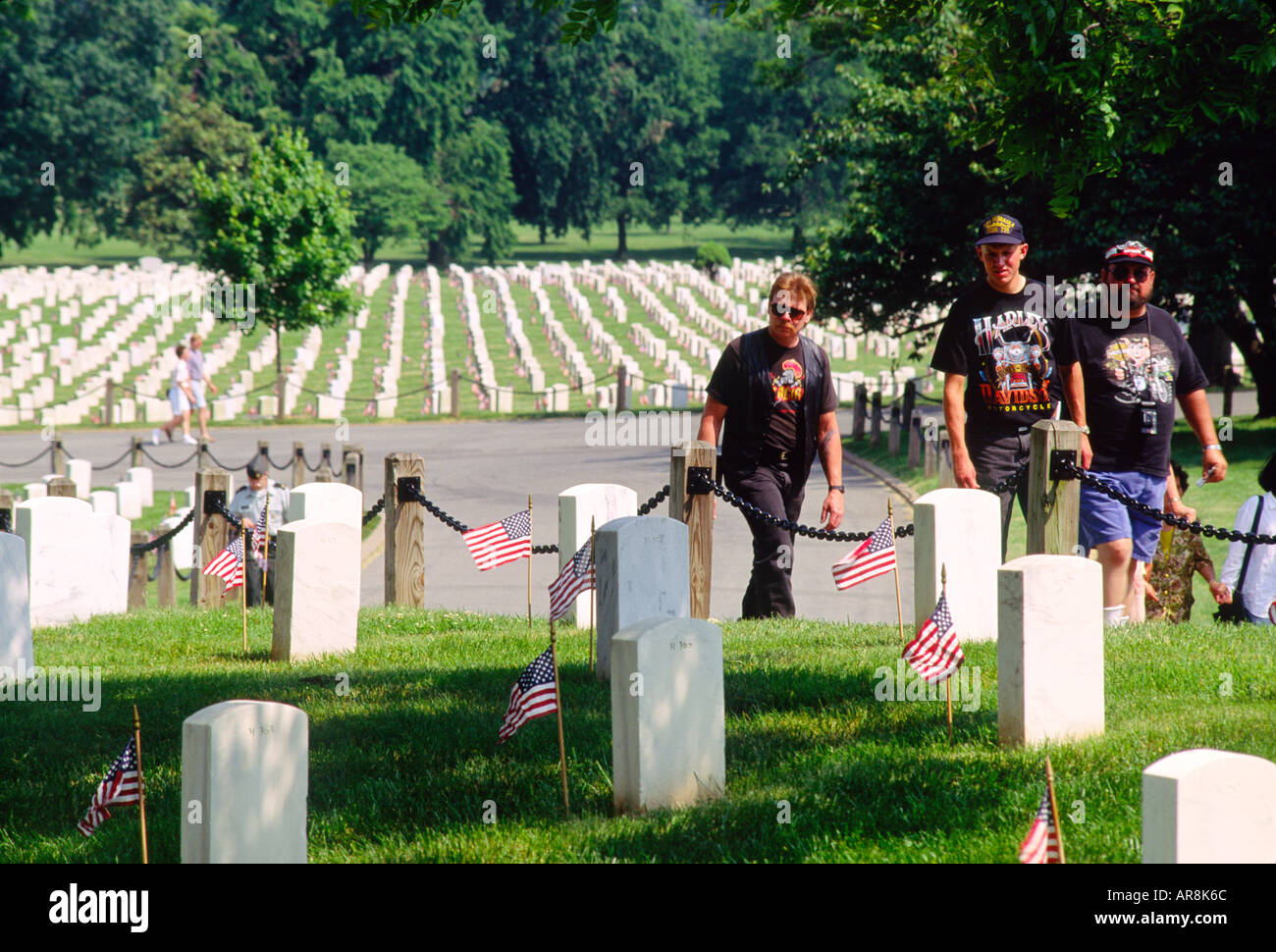 Friedhof von Arlington, Virginia, südlich von Washington DC, USA.  Kriegsgräber am Veterans Day auf dem Soldatenfriedhof zu besuchen Stockfoto