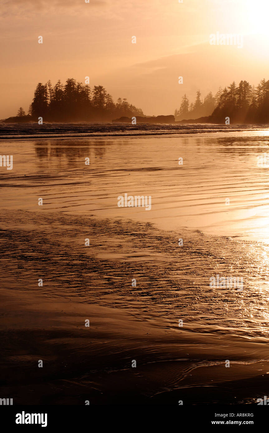 Strand bei Sonnenuntergang, Clayoquot Sound, Westküste Vancouver Island Stockfoto