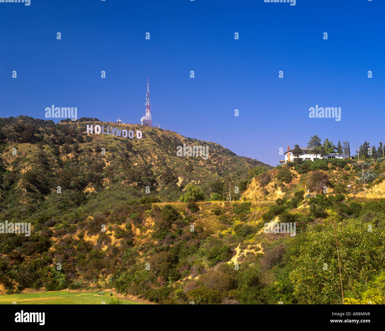 Hollywood Schriftzug Los Angeles Kalifornien USA Stockfoto