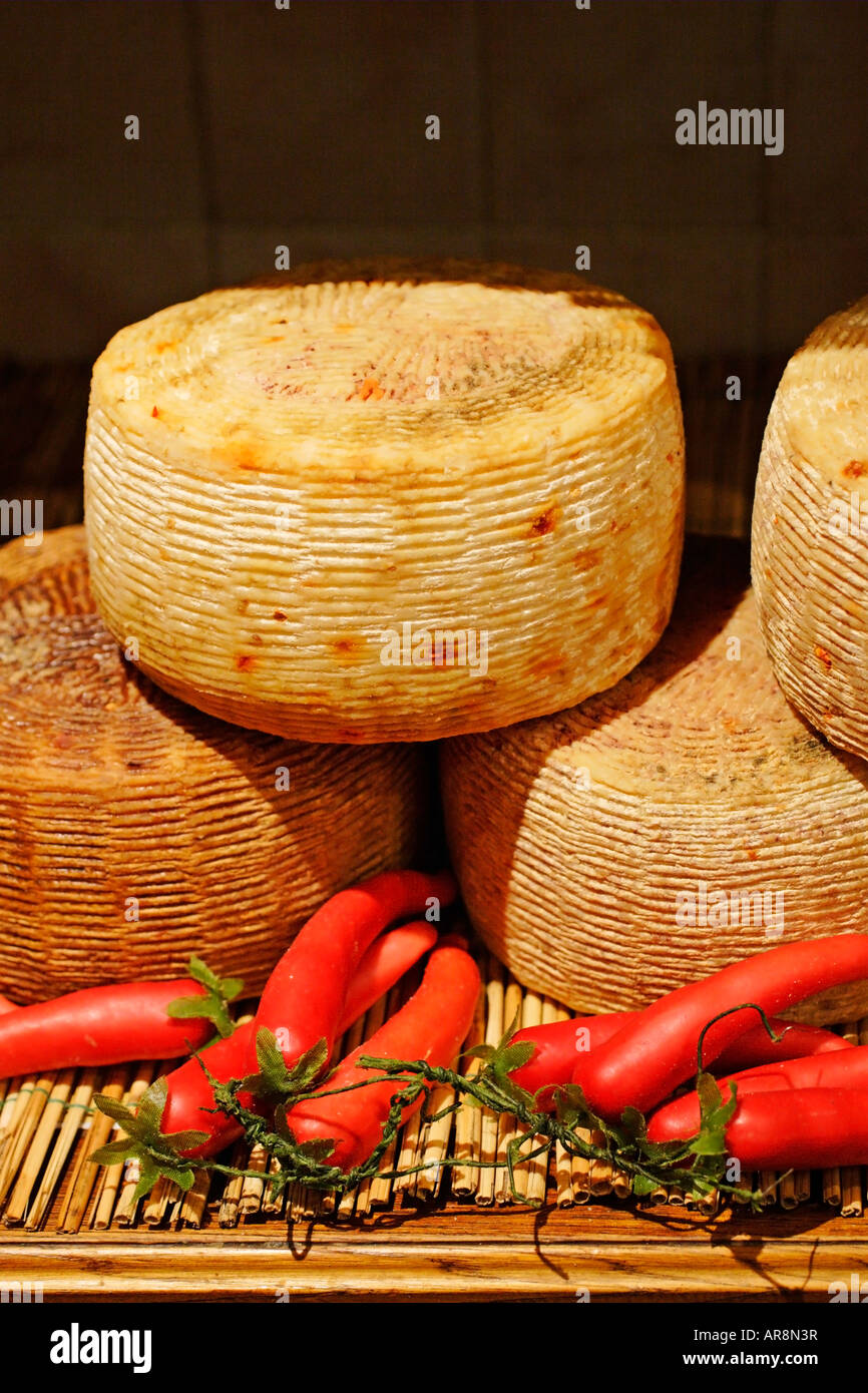 Italienischen Pecorino Romano Käse, Italien Stockfoto