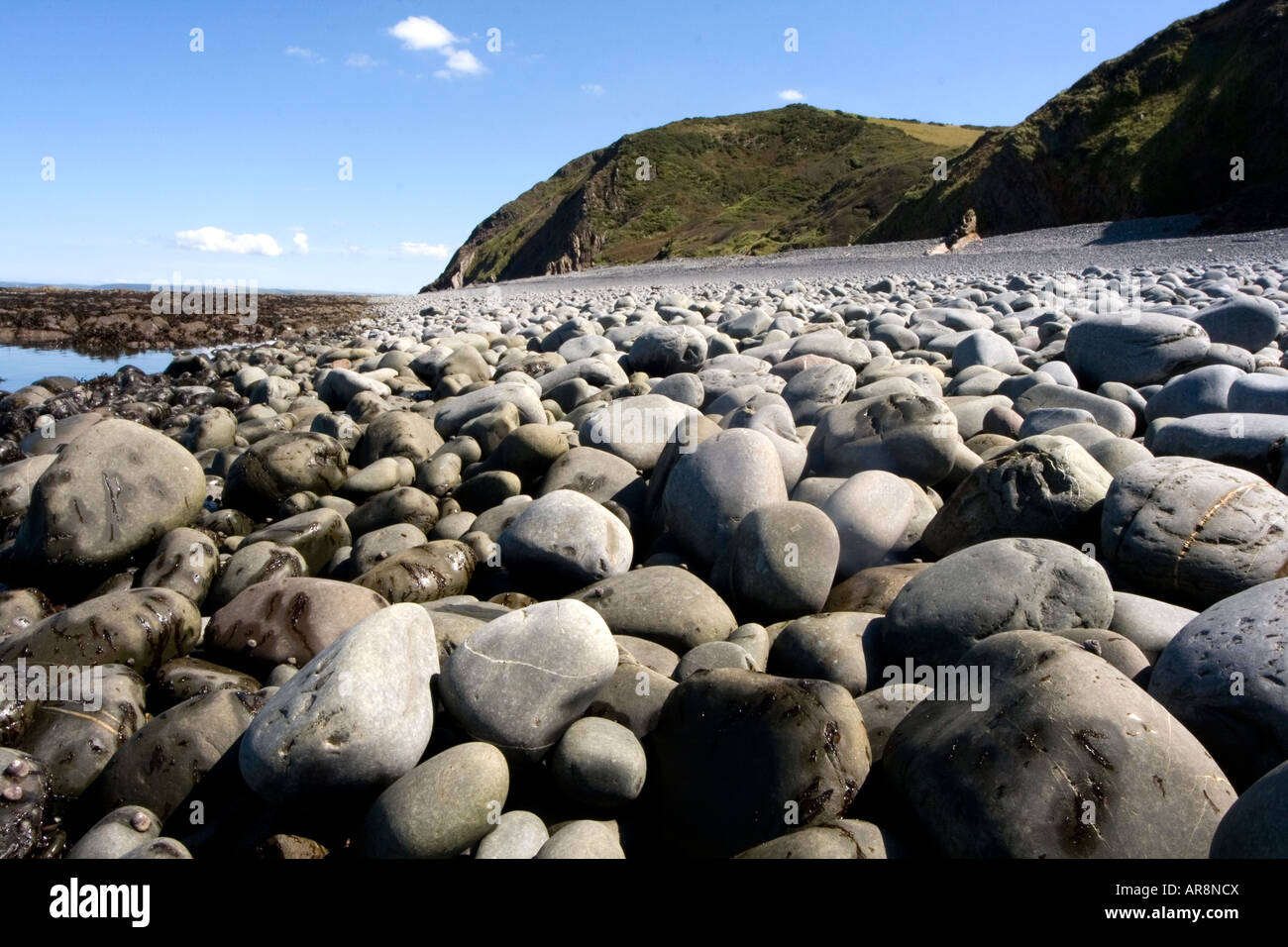 Babbacombe Beach, Felsen, Steine und Küstenlinie bei Ebbe, North Devon, (01), Großbritannien Stockfoto