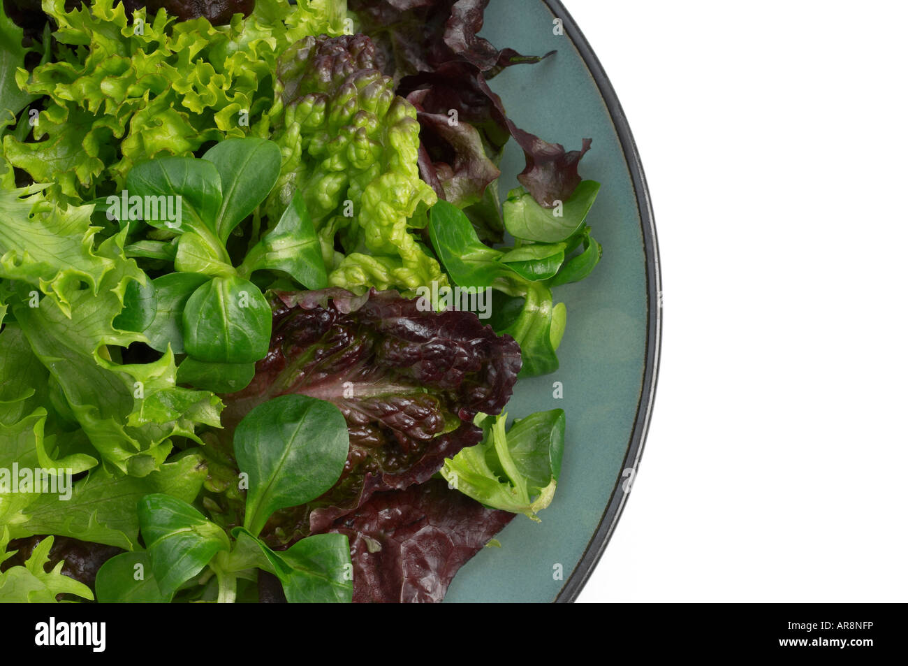 Gemischte Salatblätter in Schüssel Stockfoto