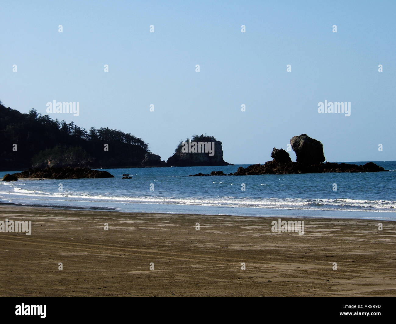 Cape Hillsborough Nationalpark, Queensland, Australien Stockfoto