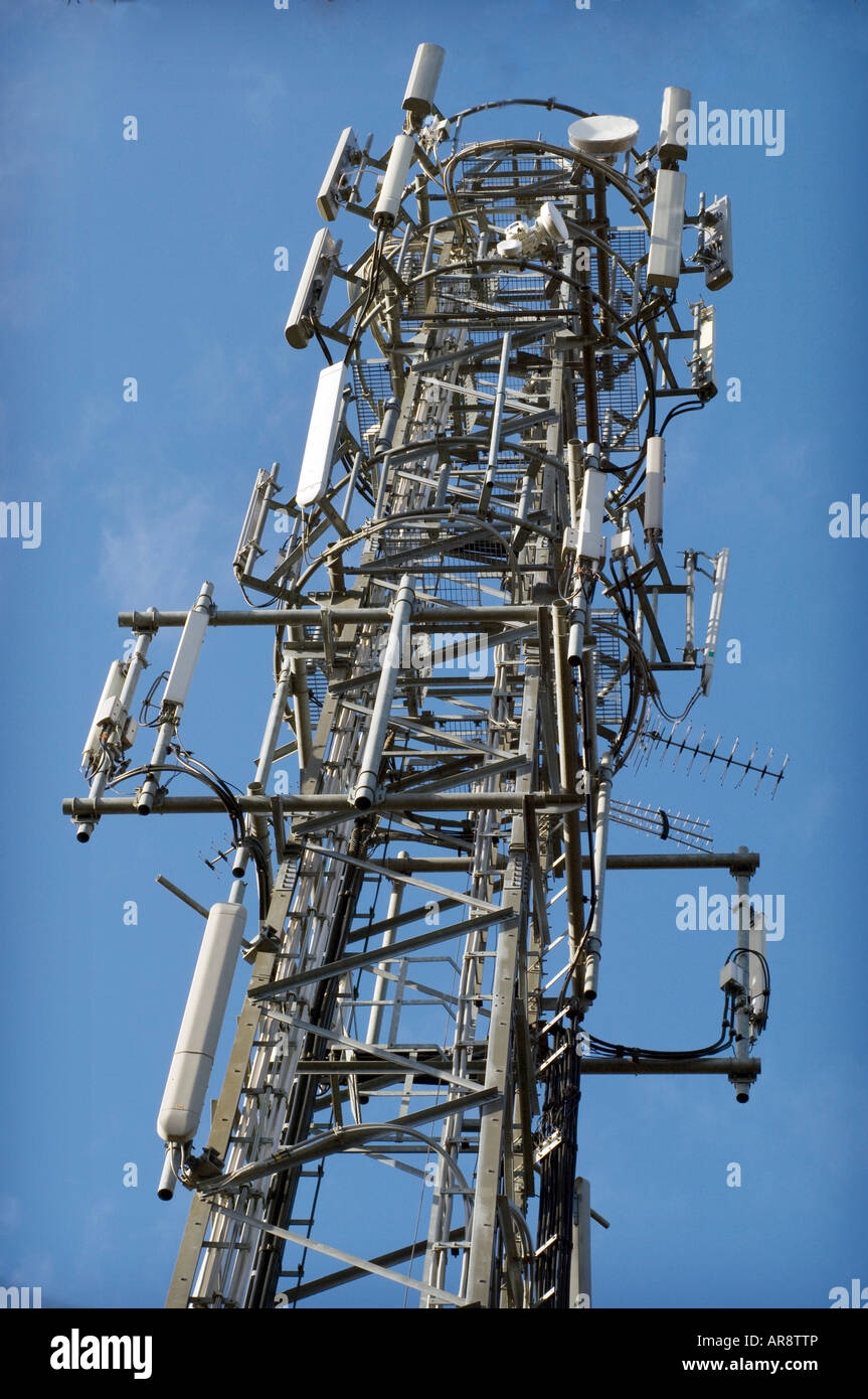 Ein Handy-Mast im Wald in Glossops grün Crawley West Sussex Stockfoto