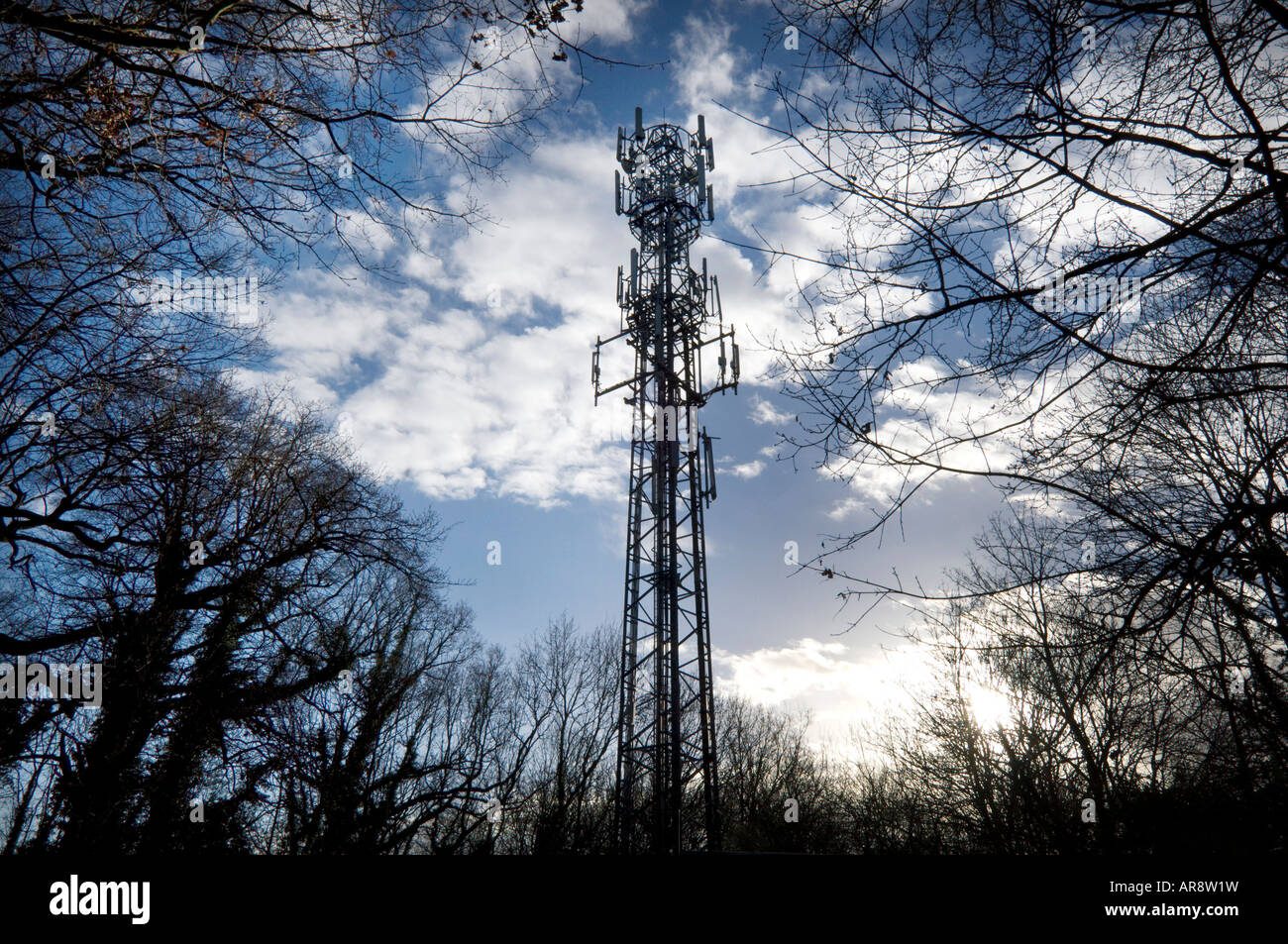 Ein Handy-Mast im Wald in Glossops grün Crawley West Sussex Stockfoto