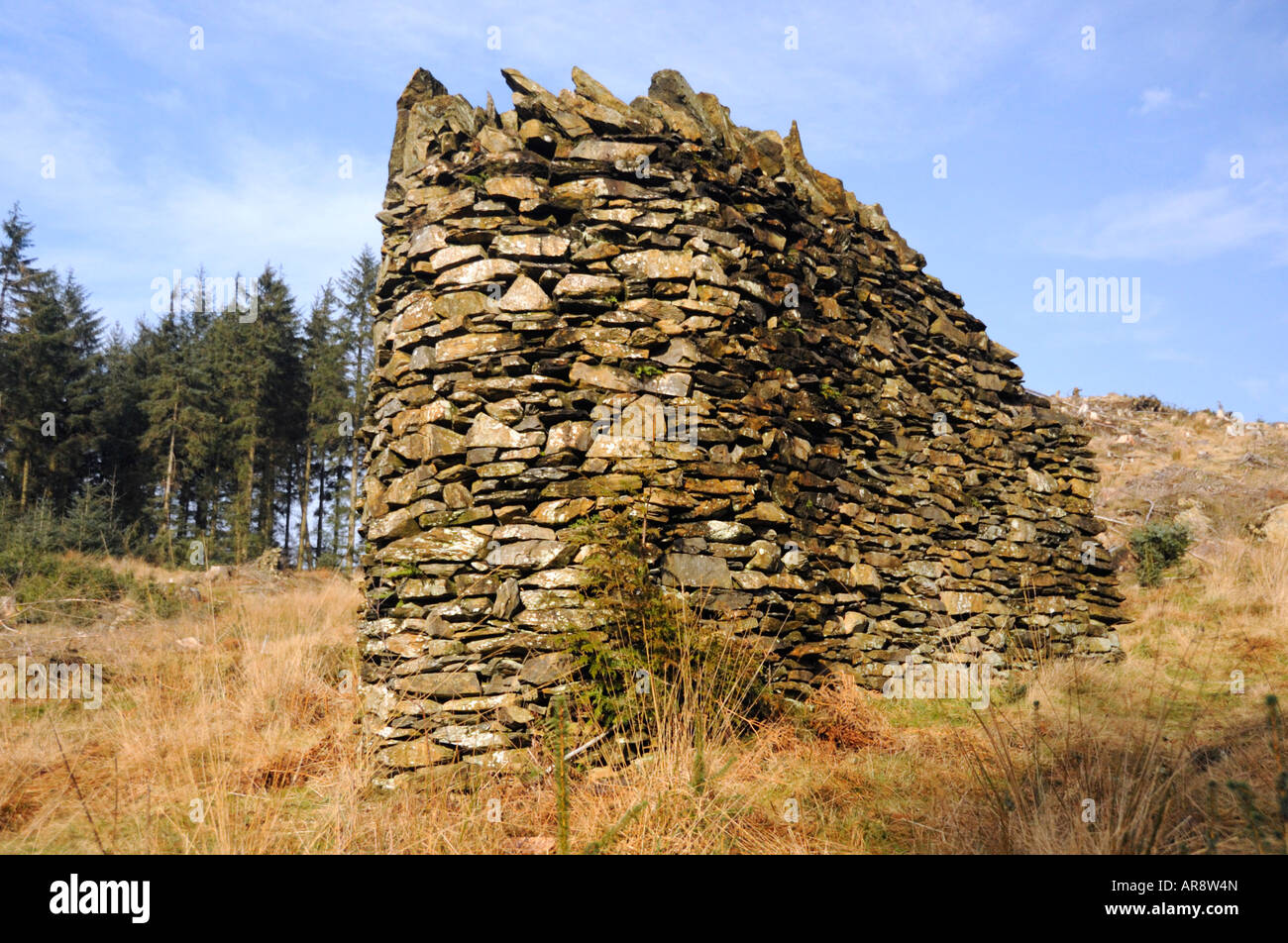 "Lebensraum". Outdooor Skulptur von Petre Nikoloski, 1990. Grizedale Forest Park, Cumbria, England, Vereinigtes Königreich, Europa. Stockfoto
