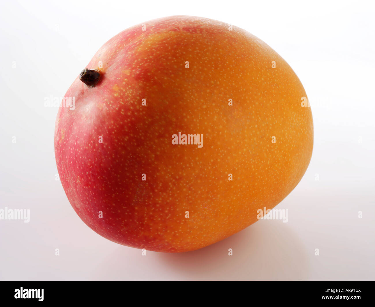 Frische ganze Mango vor einem weißen Hintergrund für ausgeschnitten Stockfoto
