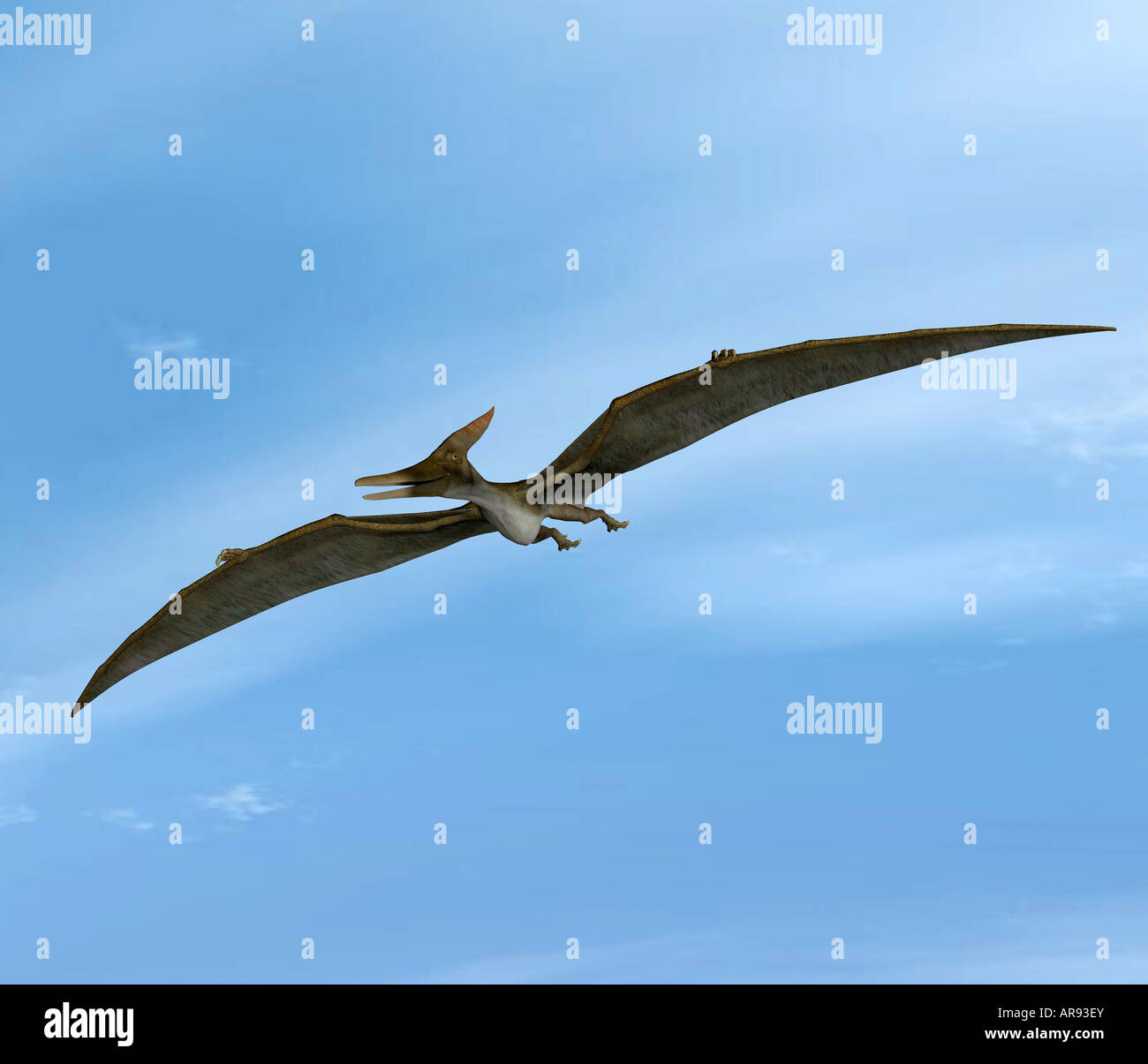 Dinosaurier Pteranodon Stockfoto
