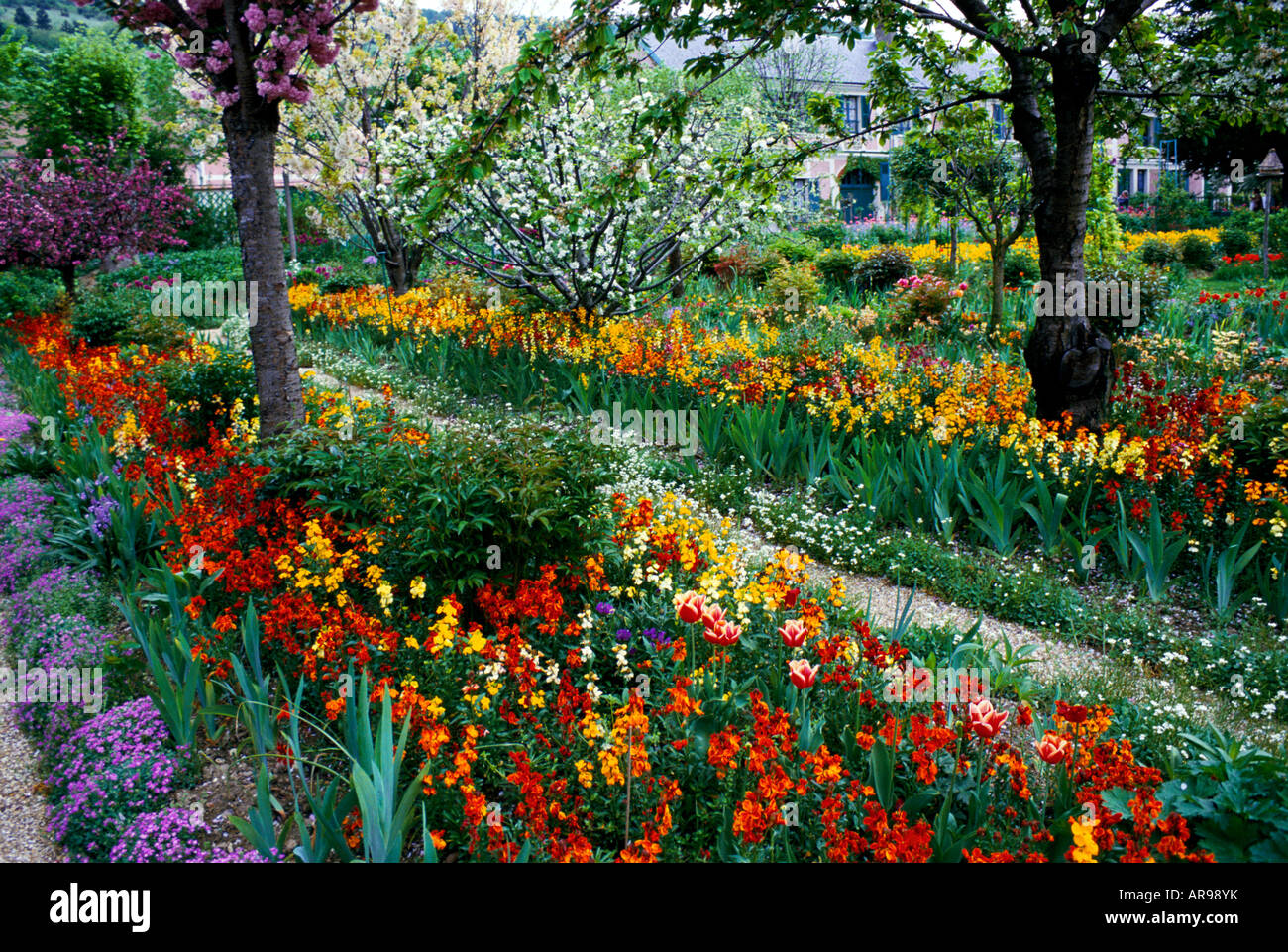 Bunte Frühsommer Display im Garten in Giverny Stockfoto