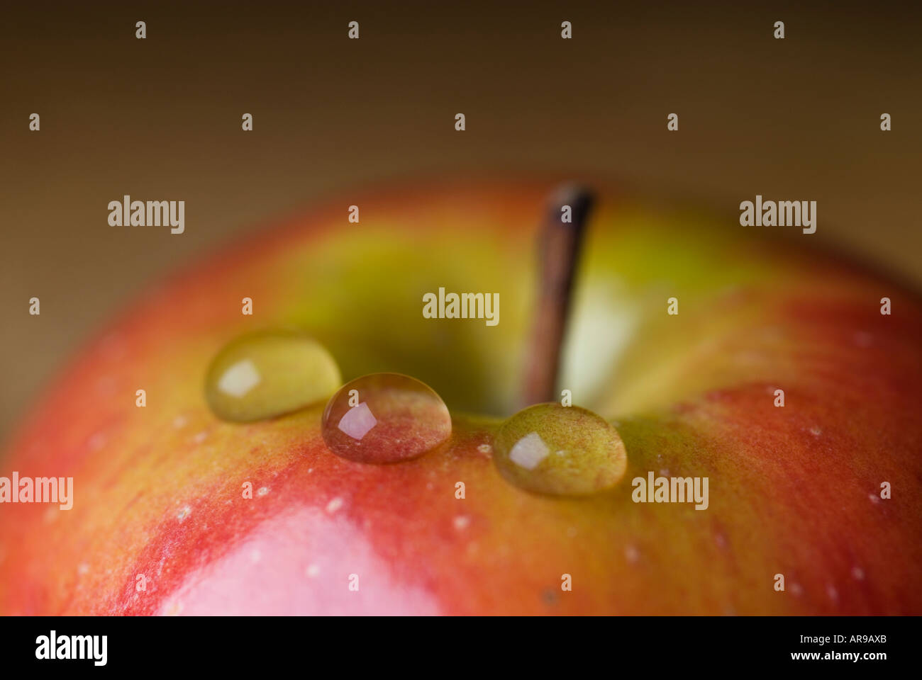 Bild eines einzigen roten Apfels mit drei Tropfen Wasser drauf Stockfoto