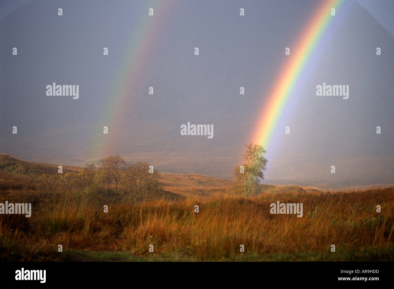 Doppelter Regenbogen über Landschaft Pembrokeshire Westwales Stockfoto