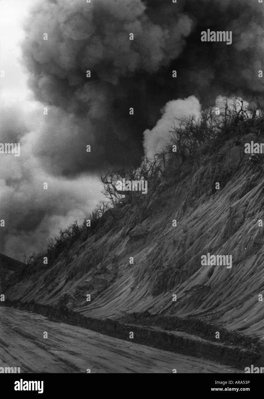 Geographie/Reise, Costa Rica, Naturkatastrophen/Katastrophe, Vulkanausbruch des Irazu-Vulkans, tote Vegetation, 1963, Stockfoto