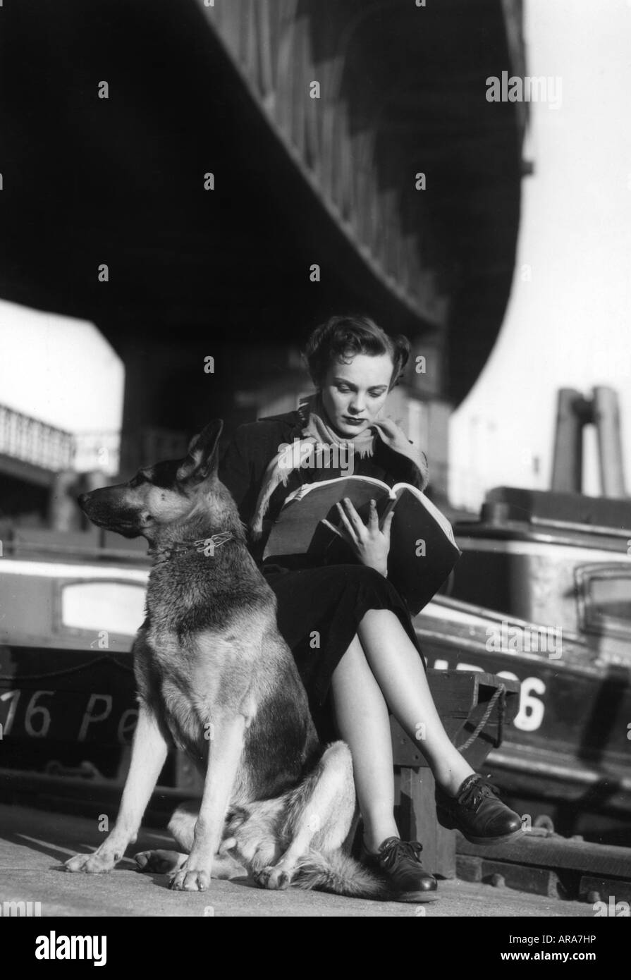 Pflug, Eva, 12.6.1929 - 5.8.2008, deutsche Schauspielerin in voller Länge, mit deutschem Hirtenhund, Leseskript, unter Brücke der Hochbahn, Baumwall, Hamburg, 6.3.1952, Stockfoto