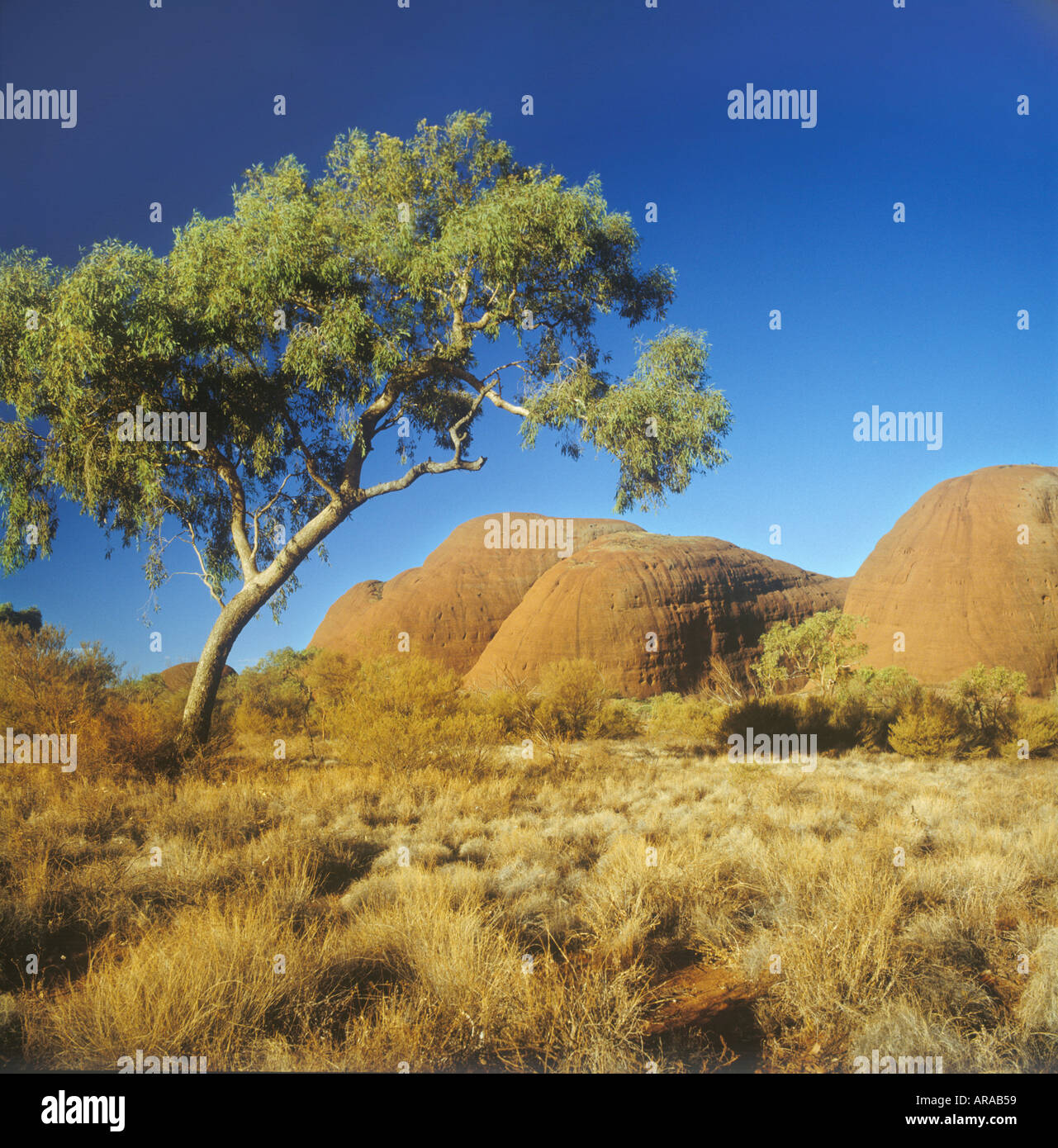 Ayers Rock Nordterritorium Alice Springs Monolith im Uluru Nationalpark, Outback Australien Stockfoto