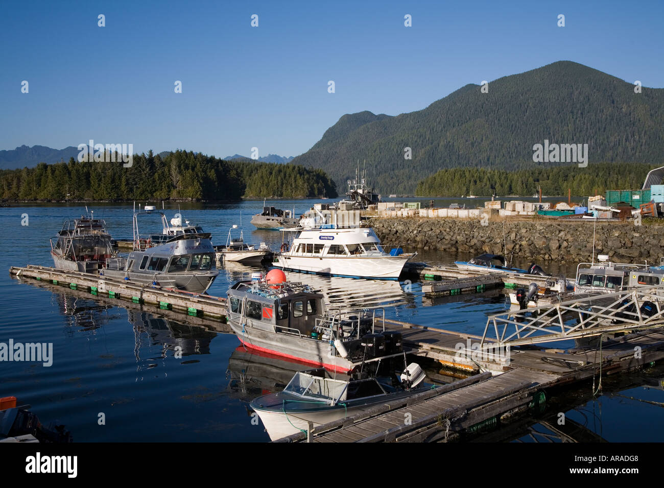 Boote in Tofino Vancouver Island Kanada Stockfoto