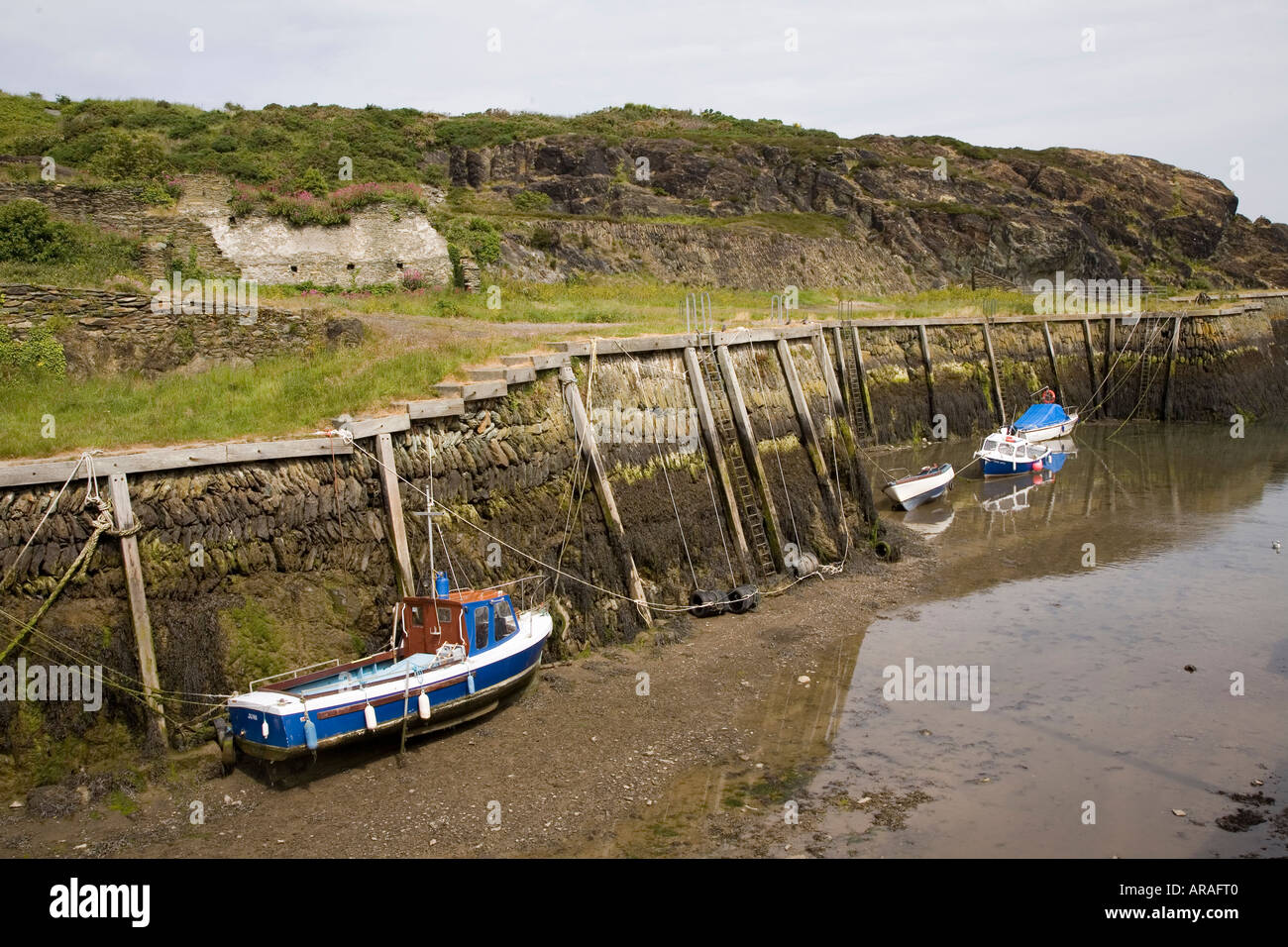 Boote im Hafen von Amlwc Anglesey Wales UK Stockfoto