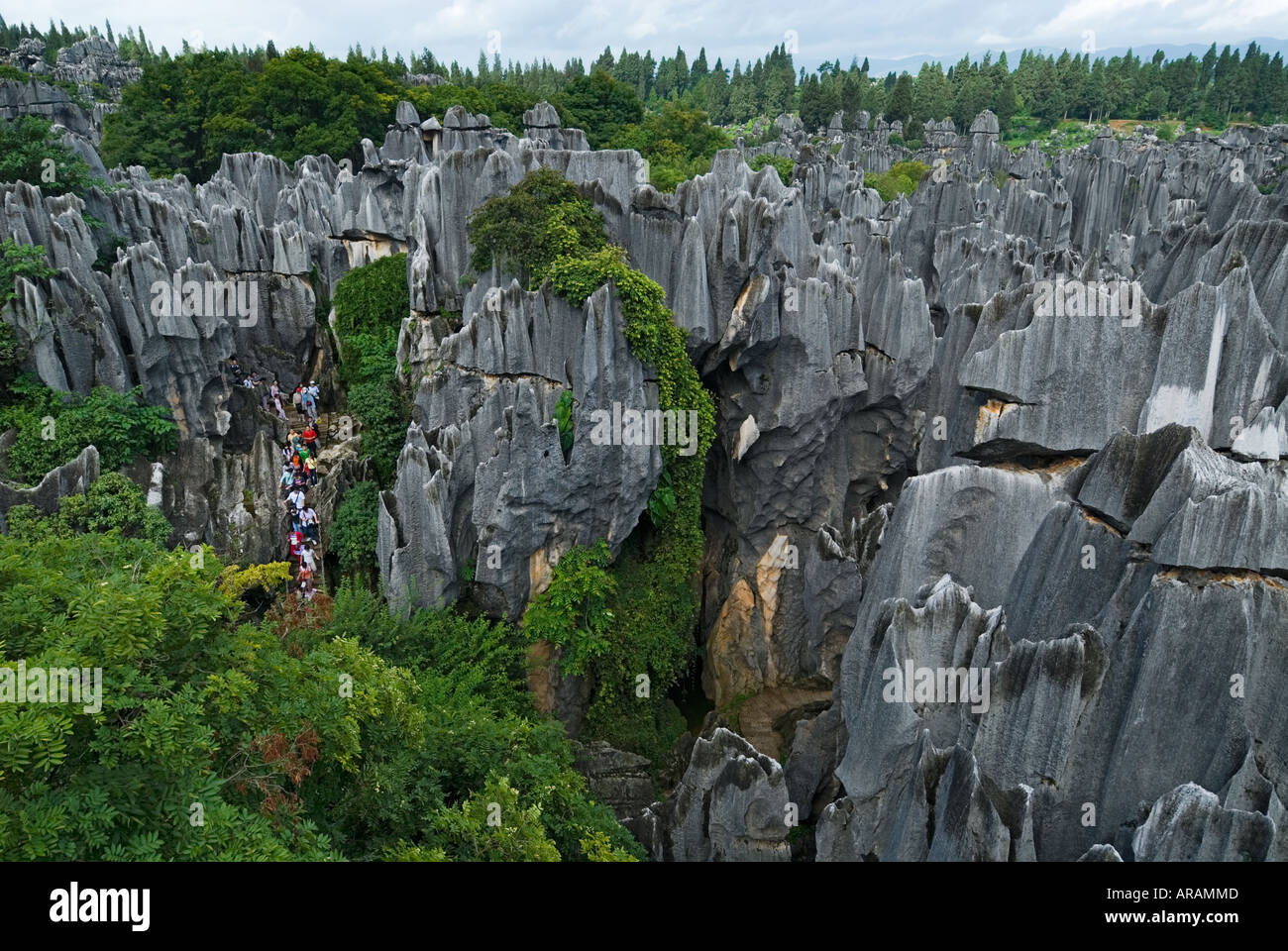 Besucher schlängeln sich durch hoch aufragenden Karst Limesone Formationen, die der Stein Wald Shilin Provinz Yunnan China bilden Stockfoto