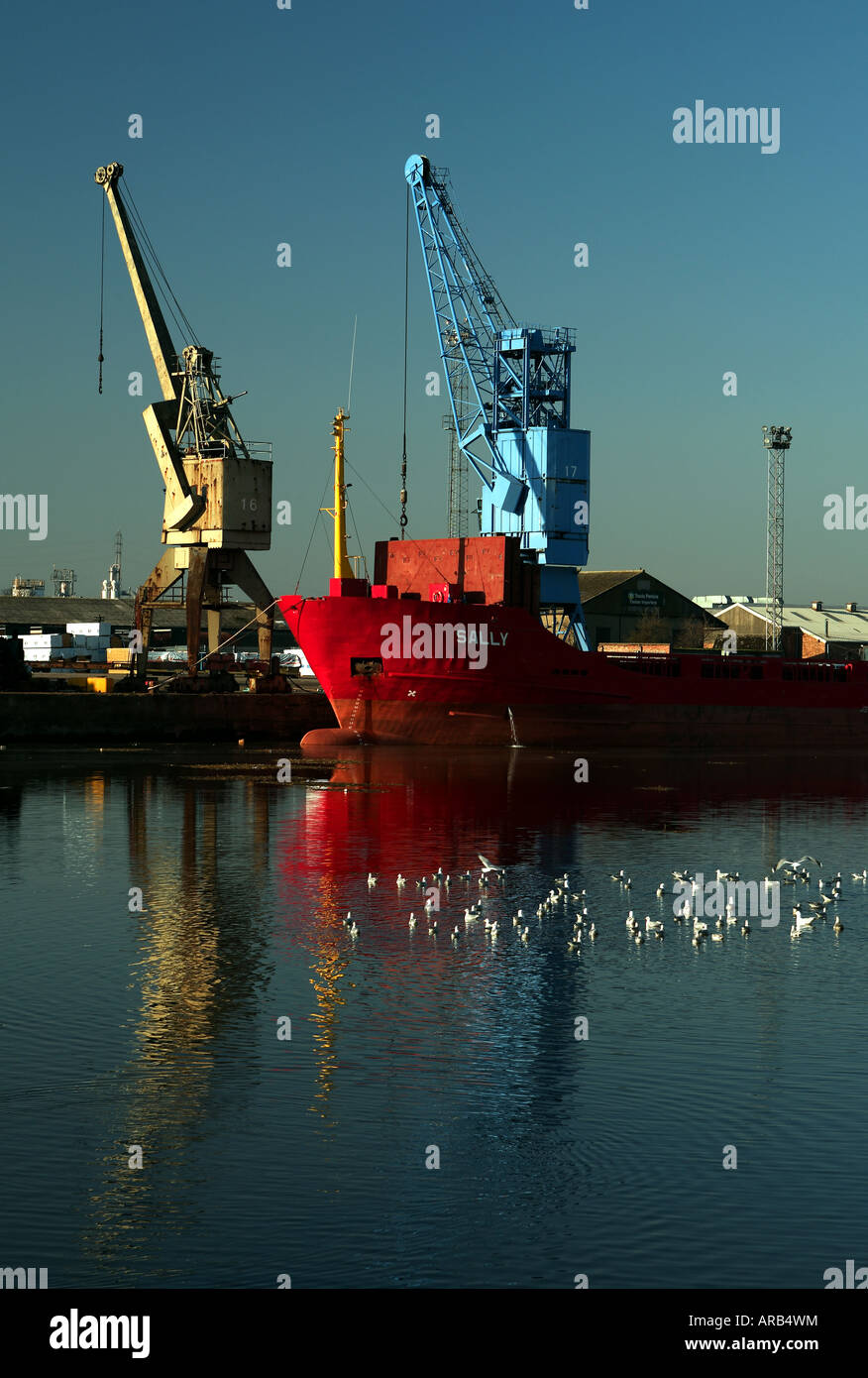 Krane in Primärfarben warten zum Entladen der Container von den Schiffen im dock Stockfoto
